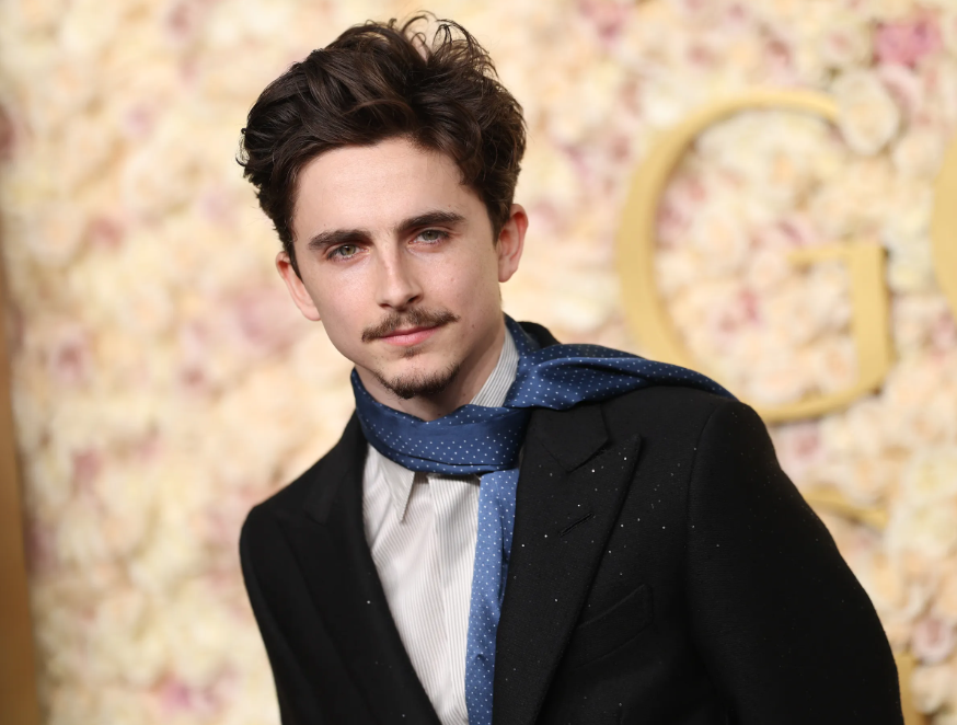 Timoth&eacute;e Chalamet: "T&ocirc;i muốn trở th&agrave;nh một người vĩ đại"- Ảnh 6.