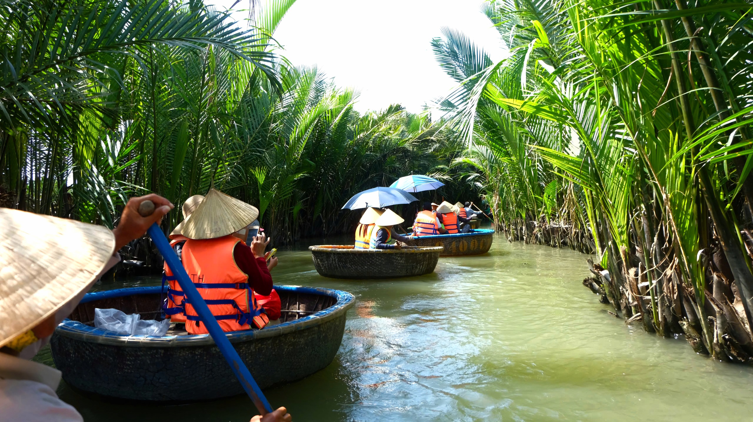 Hội An tổ chức 17 tuyến tham quan di t&iacute;ch rừng dừa Bảy Mẫu- Ảnh 1.