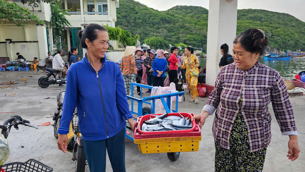 Khánh Hòa không còn xã, huyện nghèo- Ảnh 2. Khánh Hòa không còn xã, huyện nghèo- Ảnh 2.