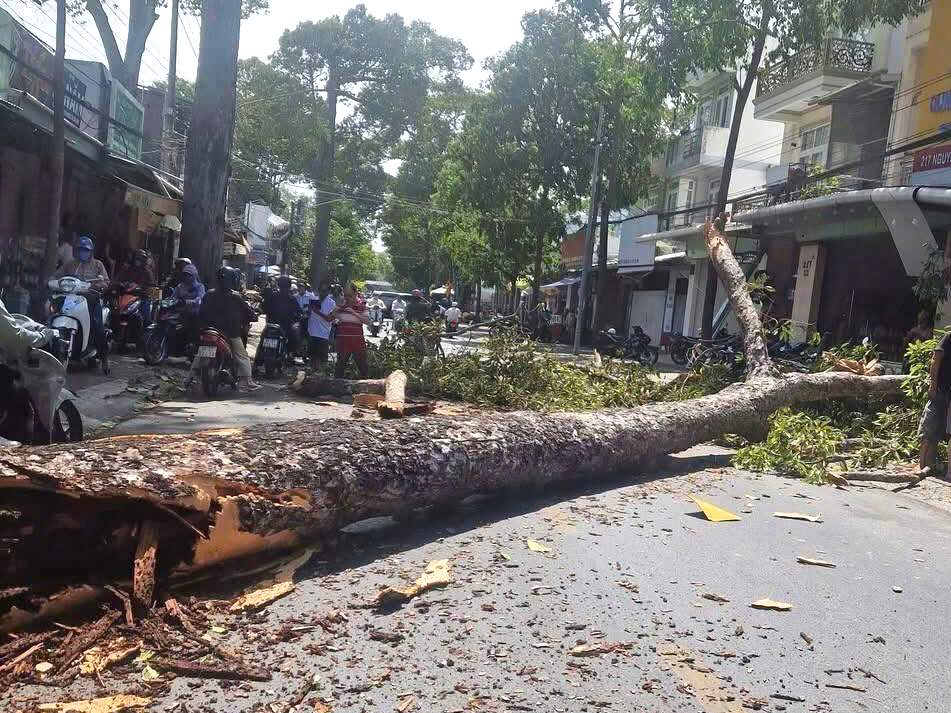 C&acirc;y đổ, gi&oacute; cuốn văng biển quảng c&aacute;o giữa đường phố Tr&agrave; Vinh khiến người d&acirc;n bị thương- Ảnh 2.