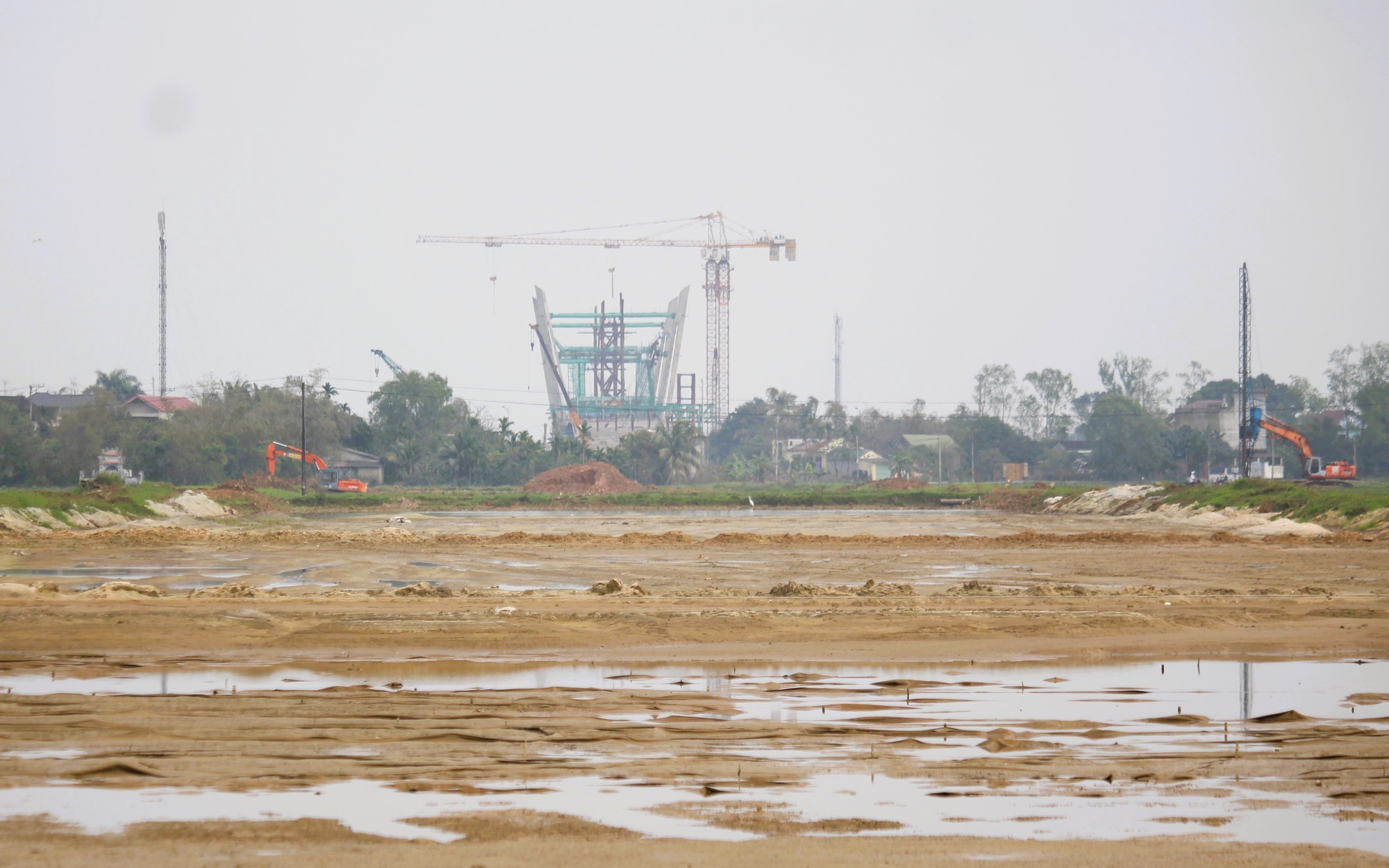 Di dời bến xe Đông Hà để xây dựng đường ven biển Quảng Trị- Ảnh 4. Chuyển mục đích sử dụng 37ha rừng phòng hộ để làm đường ven biển Quảng Trị