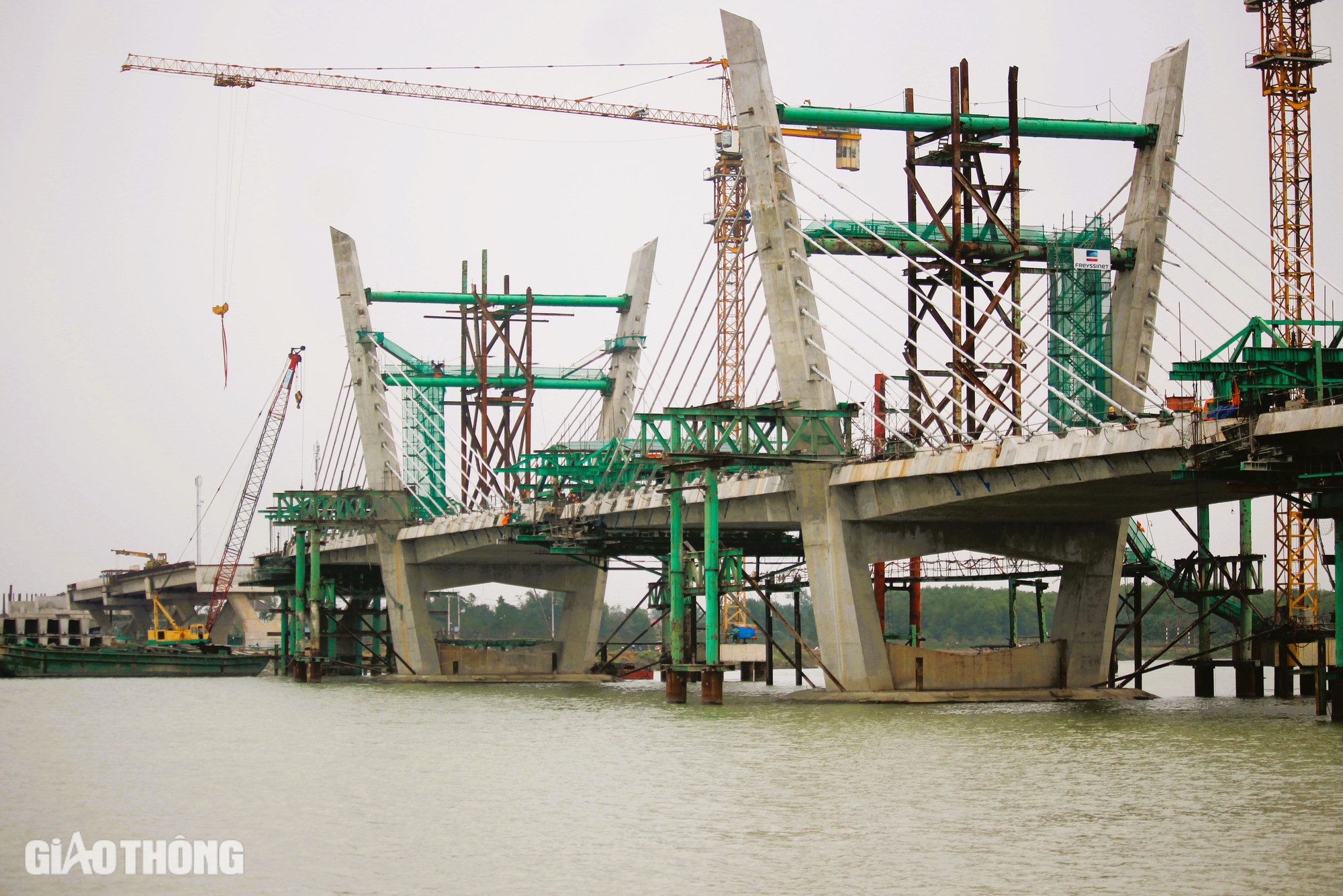 Chuyển mục đ&iacute;ch sử dụng 37ha rừng ph&ograve;ng hộ để l&agrave;m đường ven biển Quảng Trị- Ảnh 1.