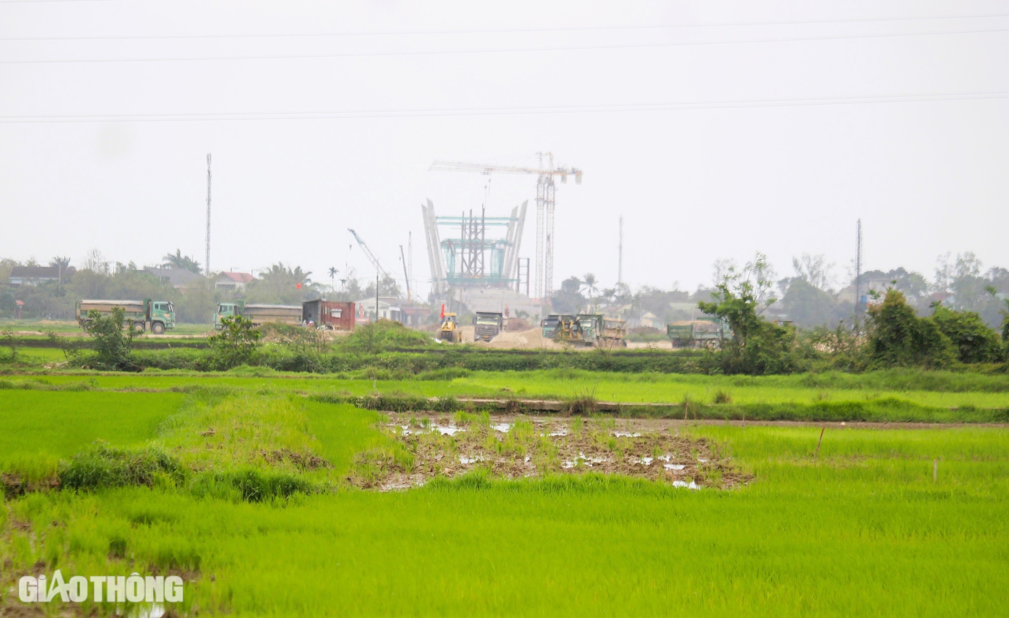 Chuyển mục đ&iacute;ch sử dụng 37ha rừng ph&ograve;ng hộ để l&agrave;m đường ven biển Quảng Trị- Ảnh 3.