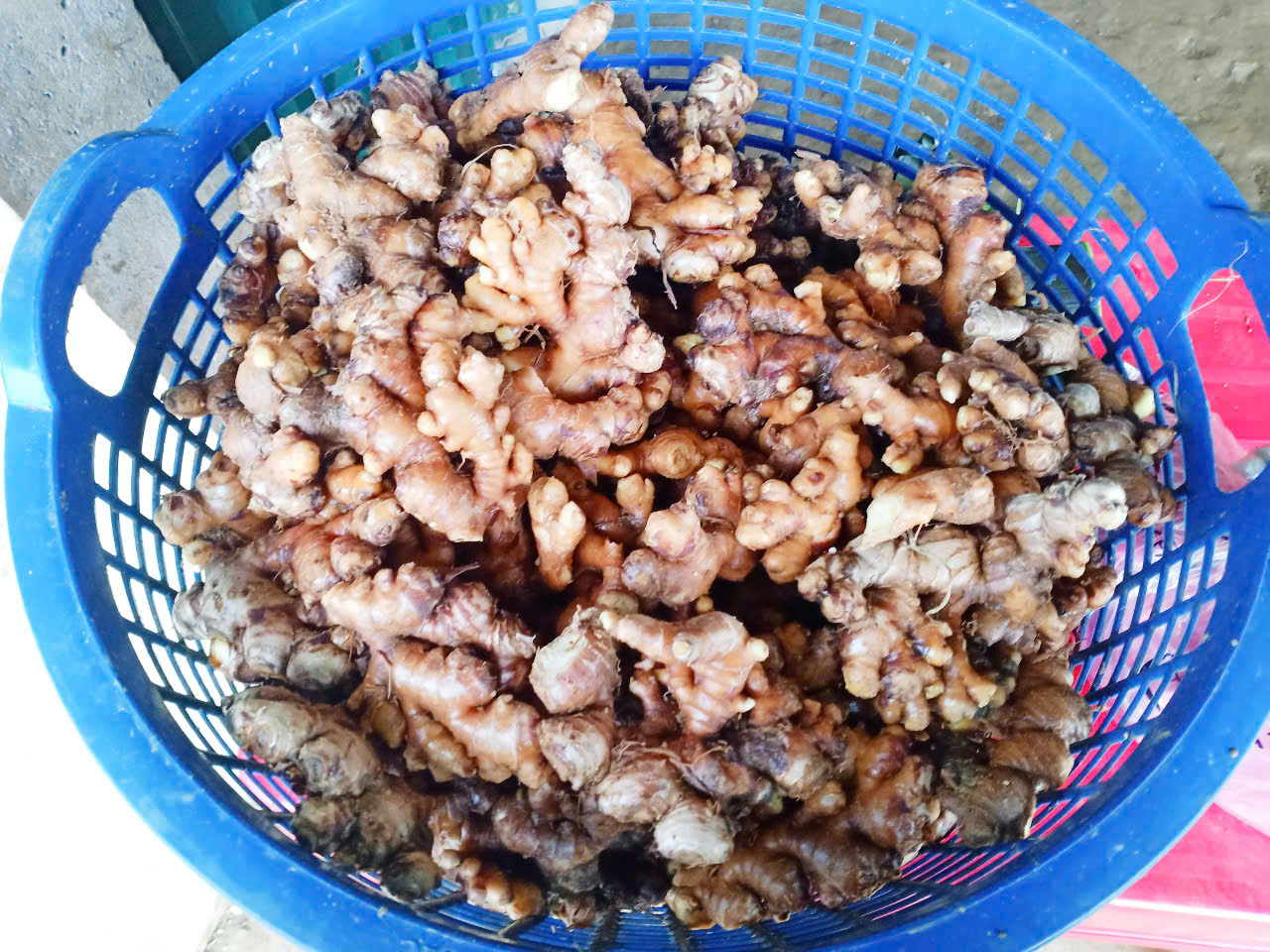 Độc đáo phiên chợ rừng già nguyên sinh của người Mông ở Nà Hẩu- Ảnh 8. Độc đáo phiên chợ rừng già nguyên sinh của người Mông ở Nà Hẩu- Ảnh 8.