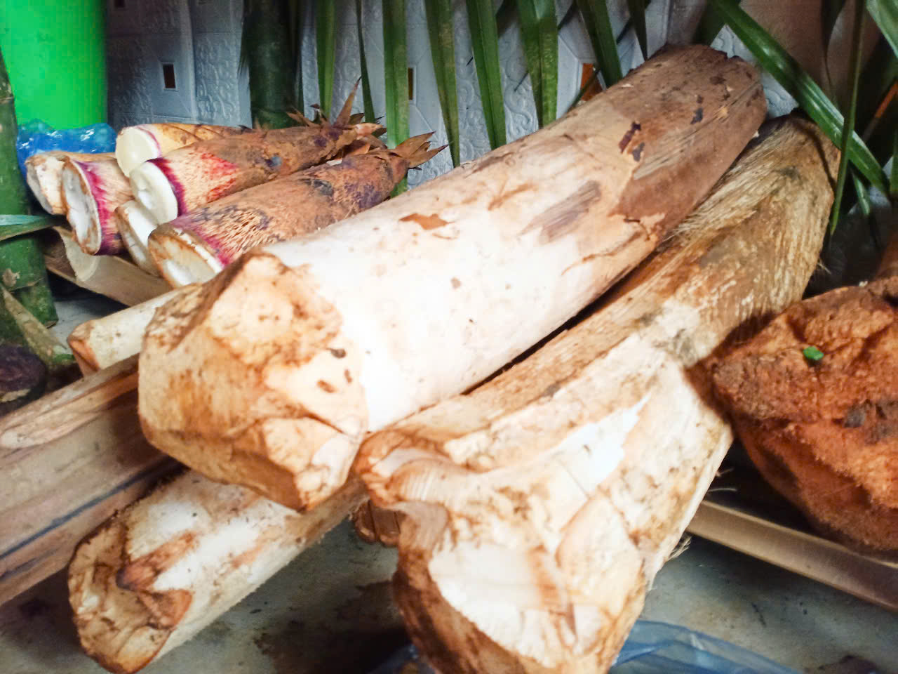 Độc đáo phiên chợ rừng già nguyên sinh của người Mông ở Nà Hẩu- Ảnh 9. Độc đáo phiên chợ rừng già nguyên sinh của người Mông ở Nà Hẩu- Ảnh 9.