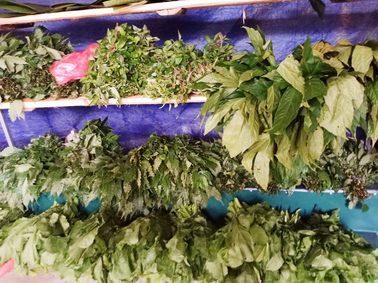 Độc đáo phiên chợ rừng già nguyên sinh của người Mông ở Nà Hẩu- Ảnh 5. Độc đáo phiên chợ rừng già nguyên sinh của người Mông ở Nà Hẩu- Ảnh 5.