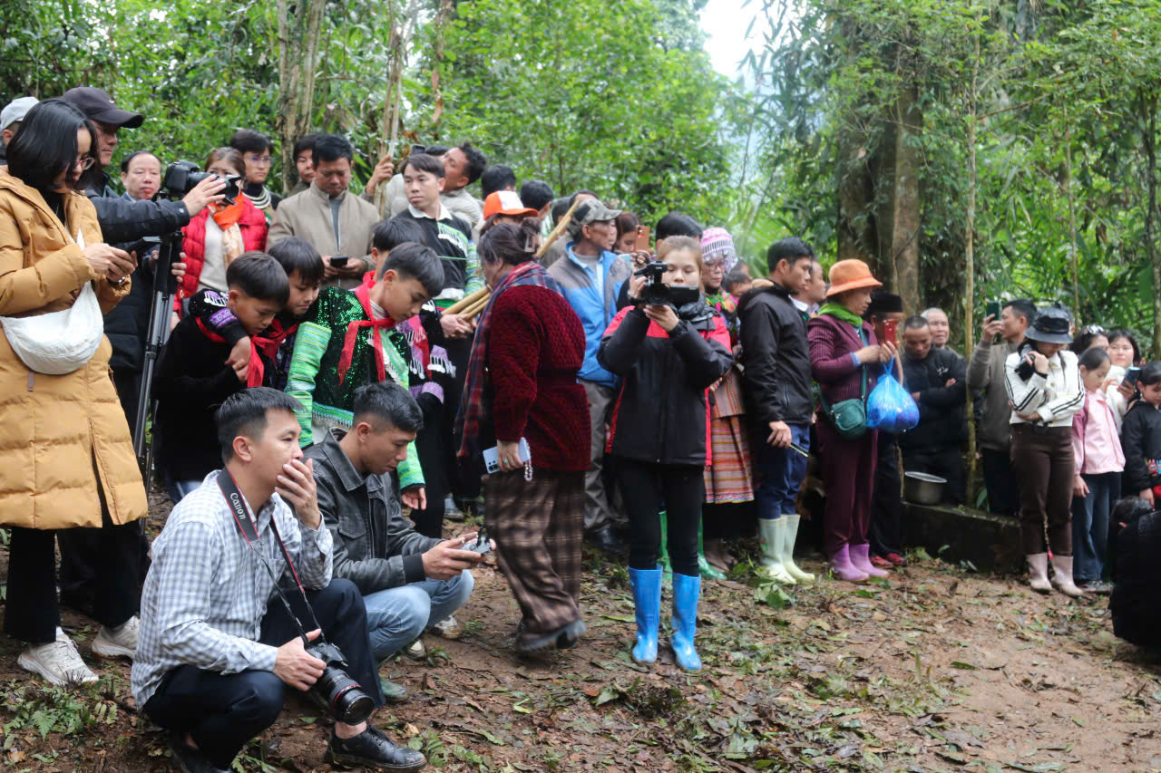 Độc đáo phiên chợ rừng già nguyên sinh của người Mông ở Nà Hẩu- Ảnh 17. Độc đáo phiên chợ rừng già nguyên sinh của người Mông ở Nà Hẩu- Ảnh 17.