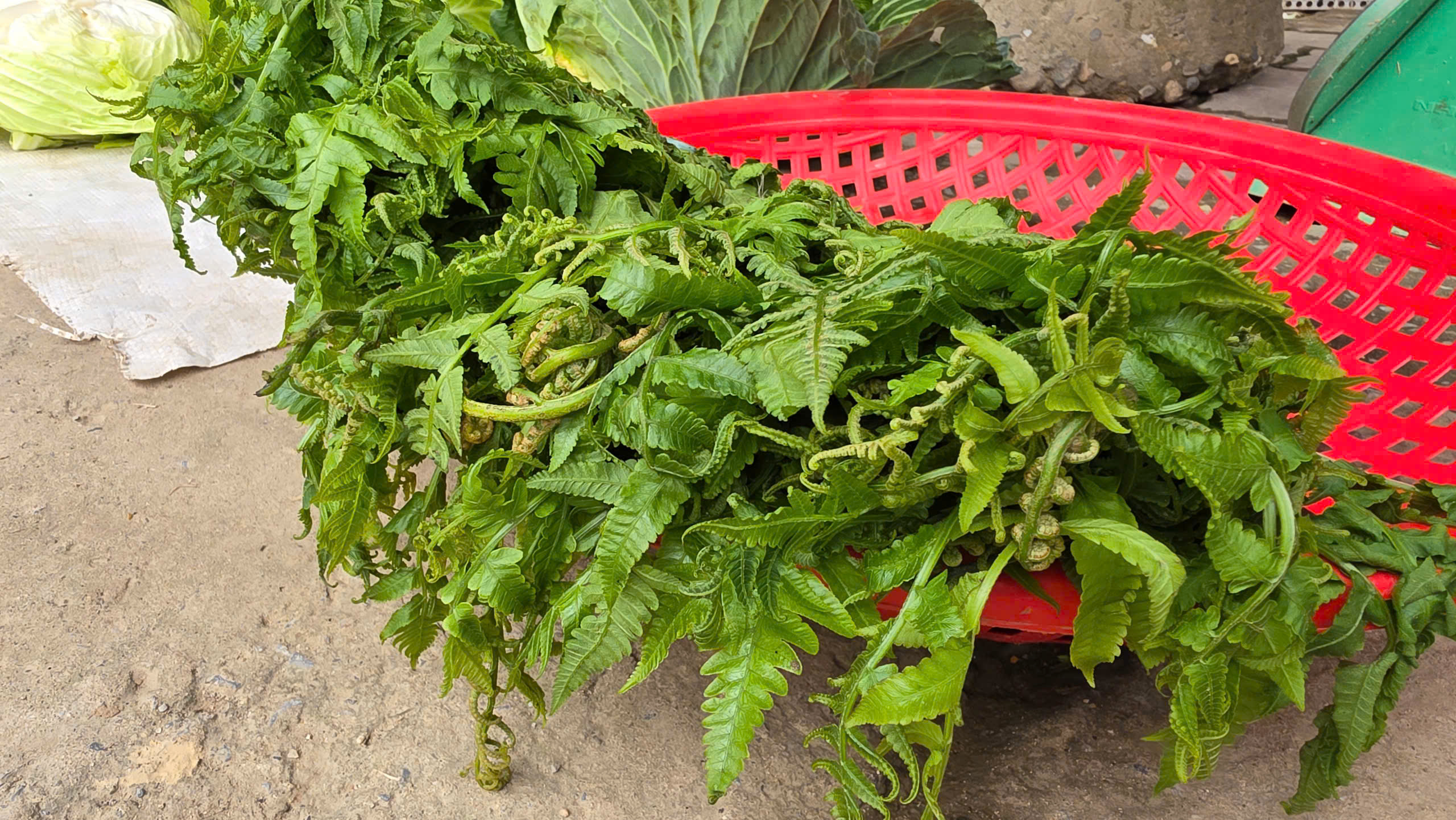 Độc đáo phiên chợ rừng già nguyên sinh của người Mông ở Nà Hẩu- Ảnh 13. Độc đáo phiên chợ rừng già nguyên sinh của người Mông ở Nà Hẩu- Ảnh 13.