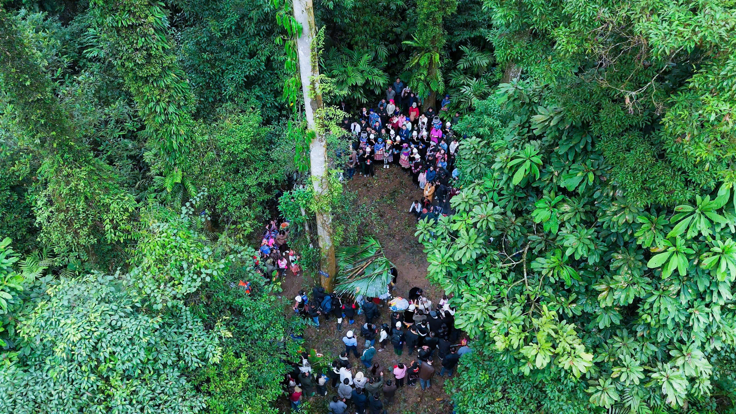 Độc đáo phiên chợ rừng già nguyên sinh của người Mông ở Nà Hẩu- Ảnh 20. Độc đáo phiên chợ rừng già nguyên sinh của người Mông ở Nà Hẩu- Ảnh 20.