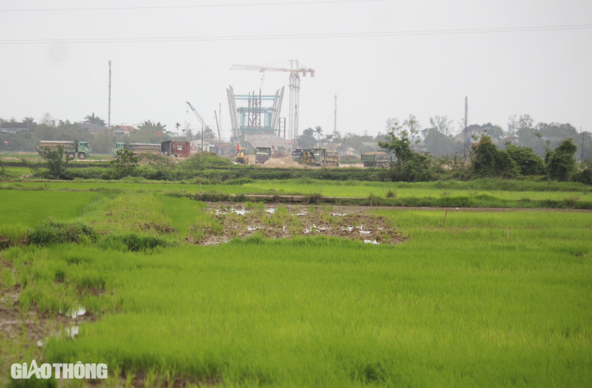 Di dời bến xe Đông Hà để xây dựng đường ven biển Quảng Trị- Ảnh 2. Di dời bến xe Đông Hà để xây dựng đường ven biển Quảng Trị- Ảnh 2.