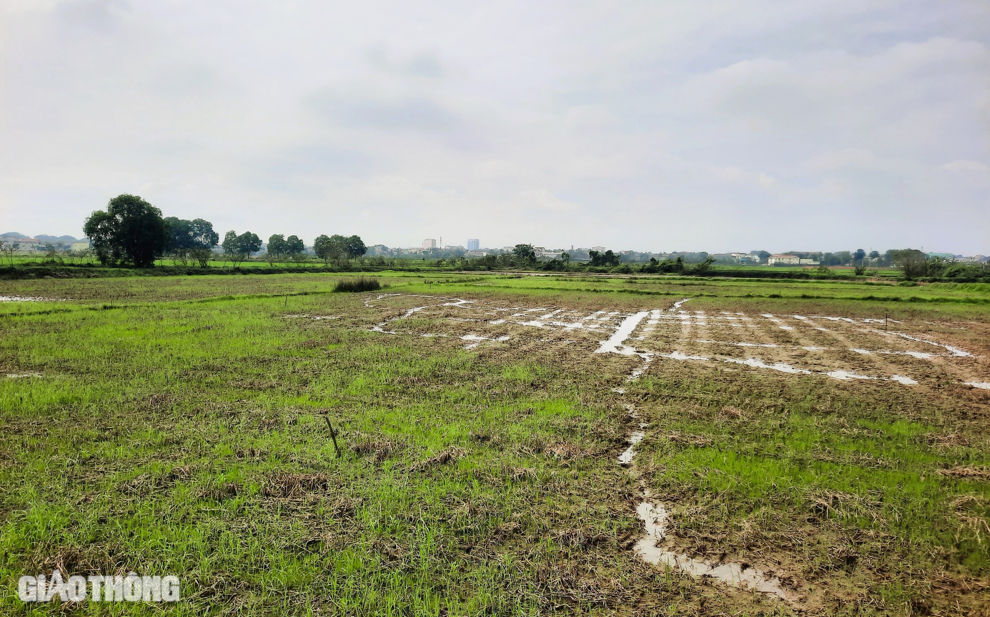 Di dời bến xe Đông Hà để xây dựng đường ven biển Quảng Trị- Ảnh 3. Di dời bến xe Đông Hà để xây dựng đường ven biển Quảng Trị- Ảnh 3.