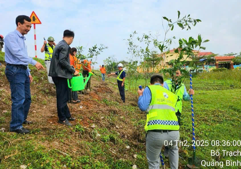 Trồng nhiều cây xanh trên các tuyến quốc lộ qua các tỉnh Bắc Trung Bộ- Ảnh 2. Trồng nhiều cây xanh trên các tuyến quốc lộ qua các tỉnh Bắc Trung Bộ- Ảnh 2.