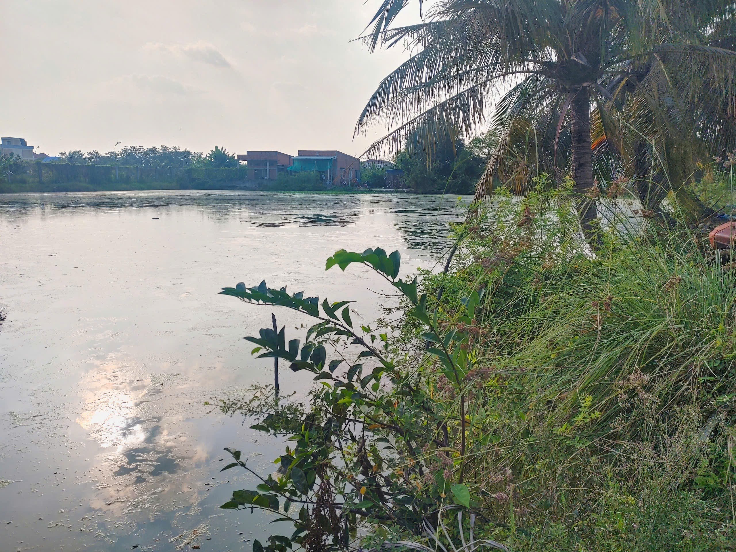 Long An: Đ&atilde; t&igrave;m thấy thi thể b&eacute; g&aacute;i dưới ao c&aacute; gần nh&agrave;- Ảnh 2.