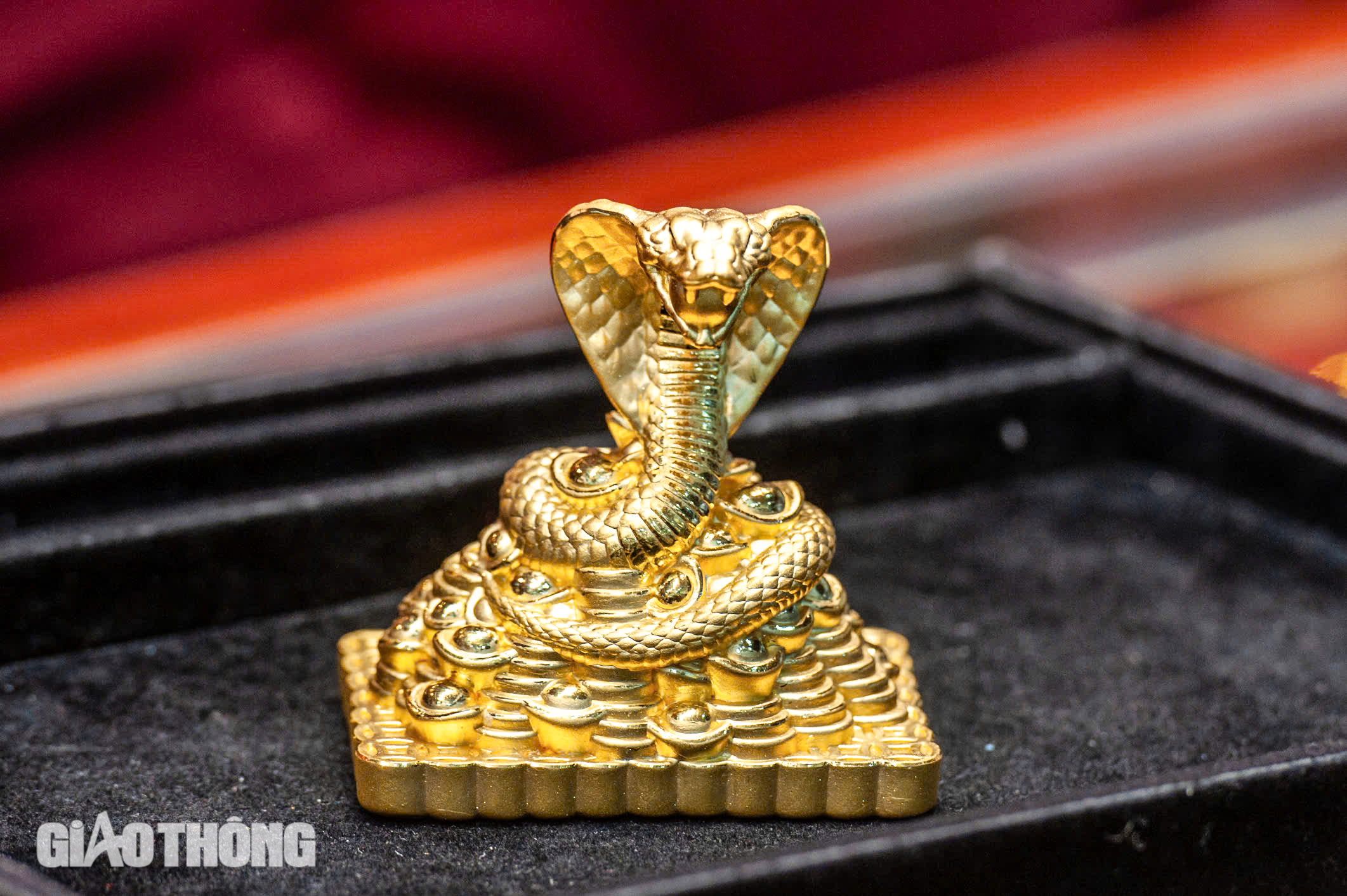 Người Hà Nội dậy từ lúc “gà chưa gáy” chờ mua vàng ngày vía Thần Tài- Ảnh 12. Người Hà Nội dậy từ lúc “gà chưa gáy” chờ mua vàng ngày vía Thần Tài- Ảnh 12.