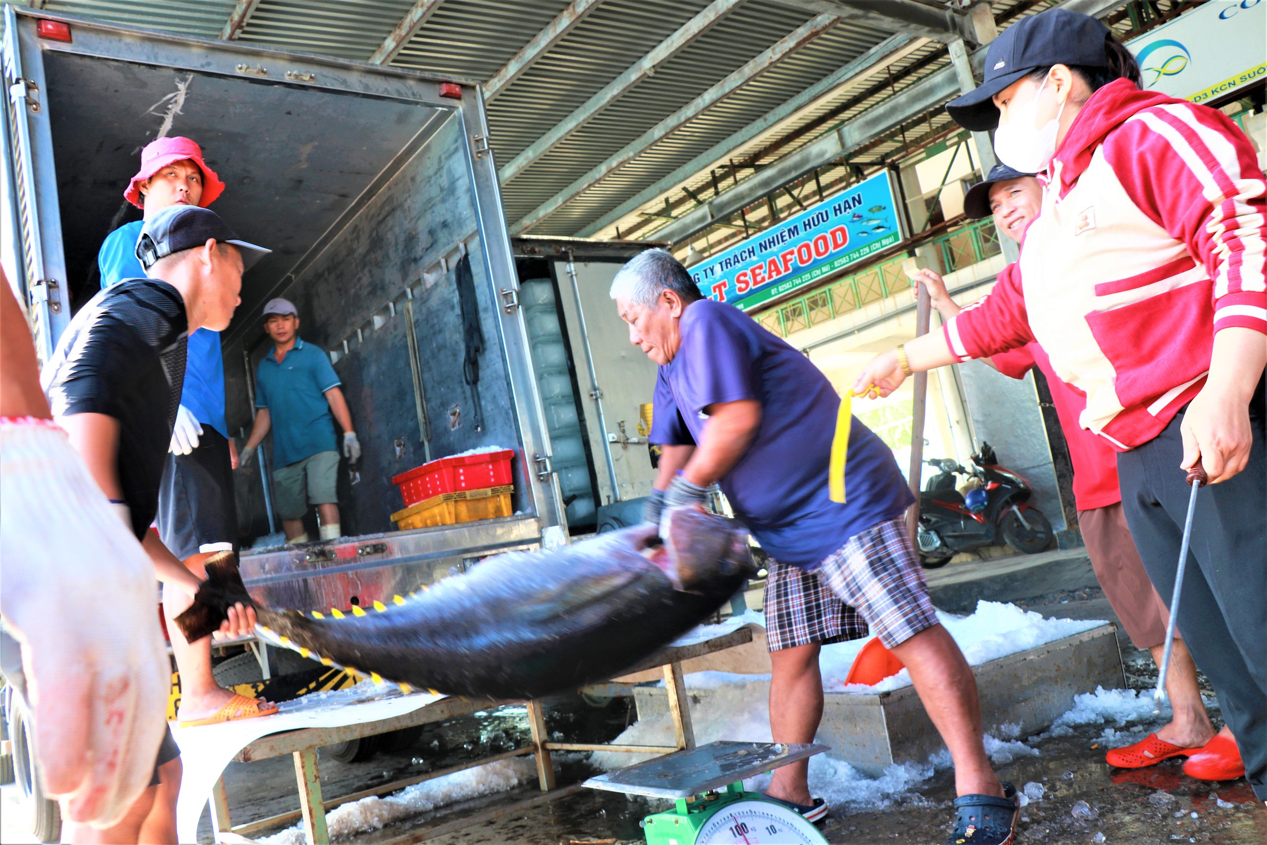Đầu năm đ&oacute;n lộc biển, ngư d&acirc;n Kh&aacute;nh H&ograve;a vươn khơi gỡ thẻ v&agrave;ng IUU- Ảnh 5.