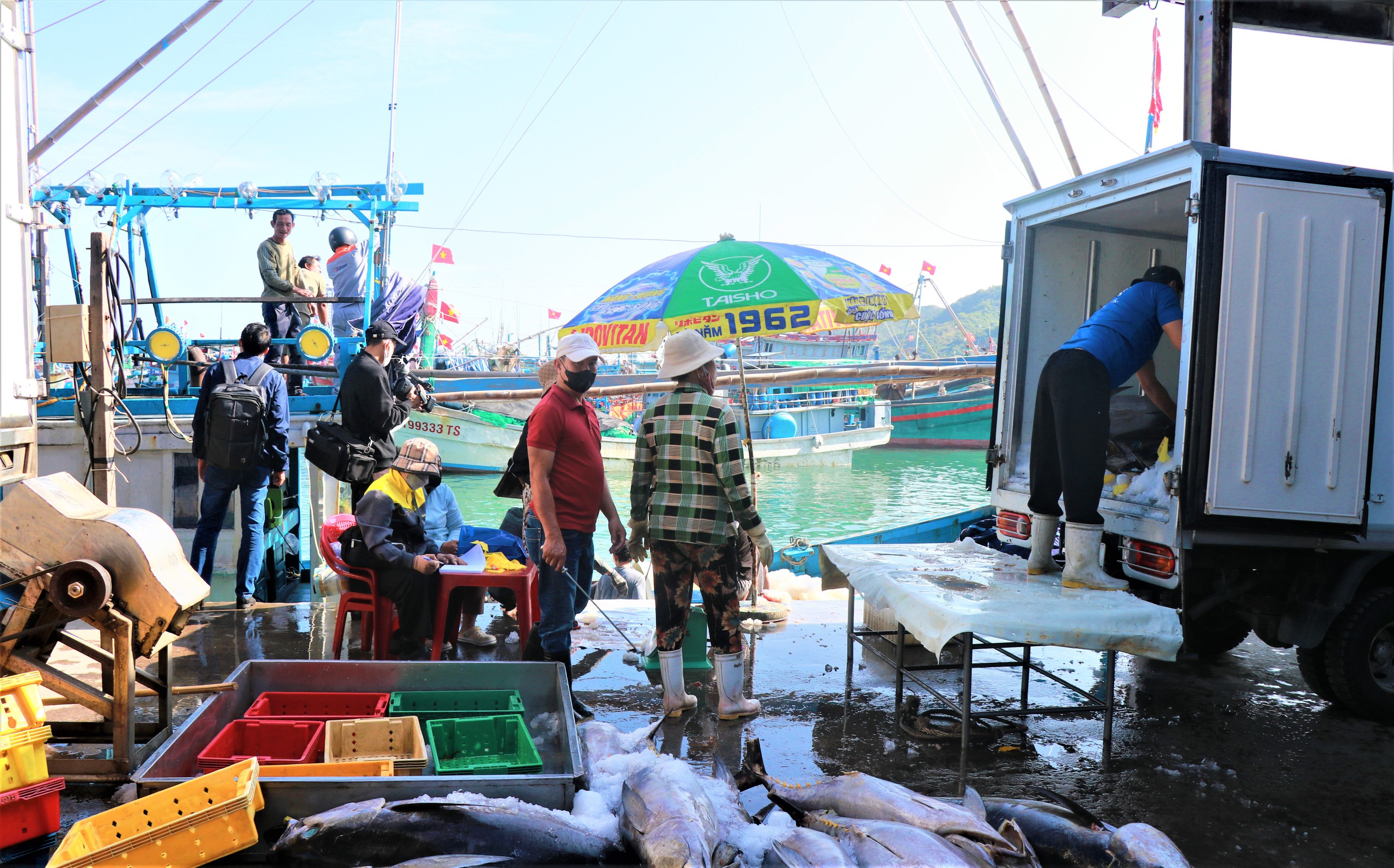 Đầu năm đ&oacute;n lộc biển, ngư d&acirc;n Kh&aacute;nh H&ograve;a vươn khơi gỡ thẻ v&agrave;ng IUU- Ảnh 9.