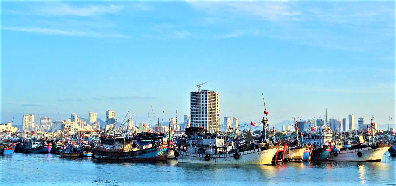 Đầu năm đ&oacute;n lộc biển, ngư d&acirc;n Kh&aacute;nh H&ograve;a vươn khơi gỡ thẻ v&agrave;ng IUU- Ảnh 10.
