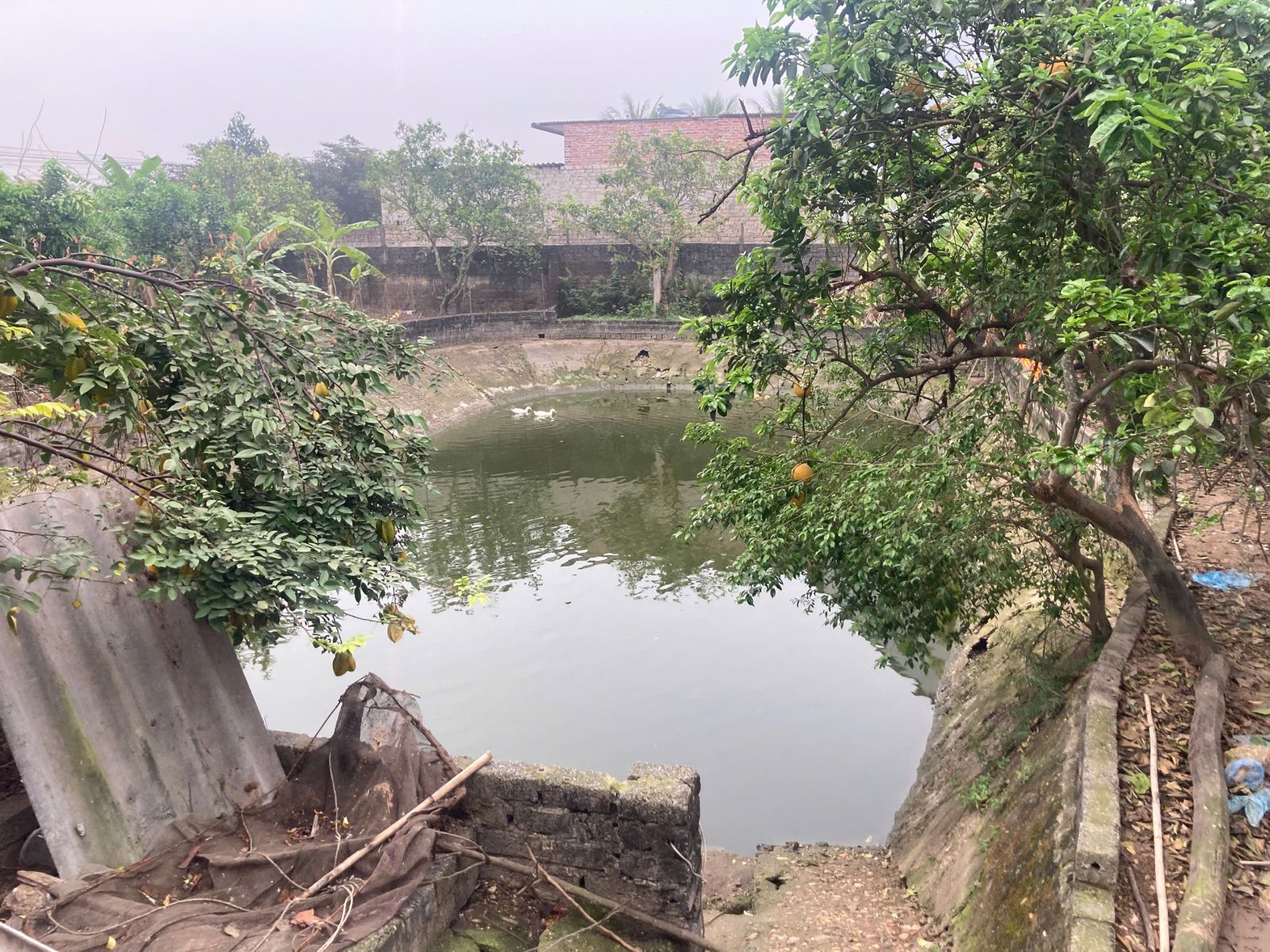 Bắc Giang: Hai ch&aacute;u nhỏ chết đuối thương t&acirc;m dưới ao c&aacute; của nh&agrave;- Ảnh 1.