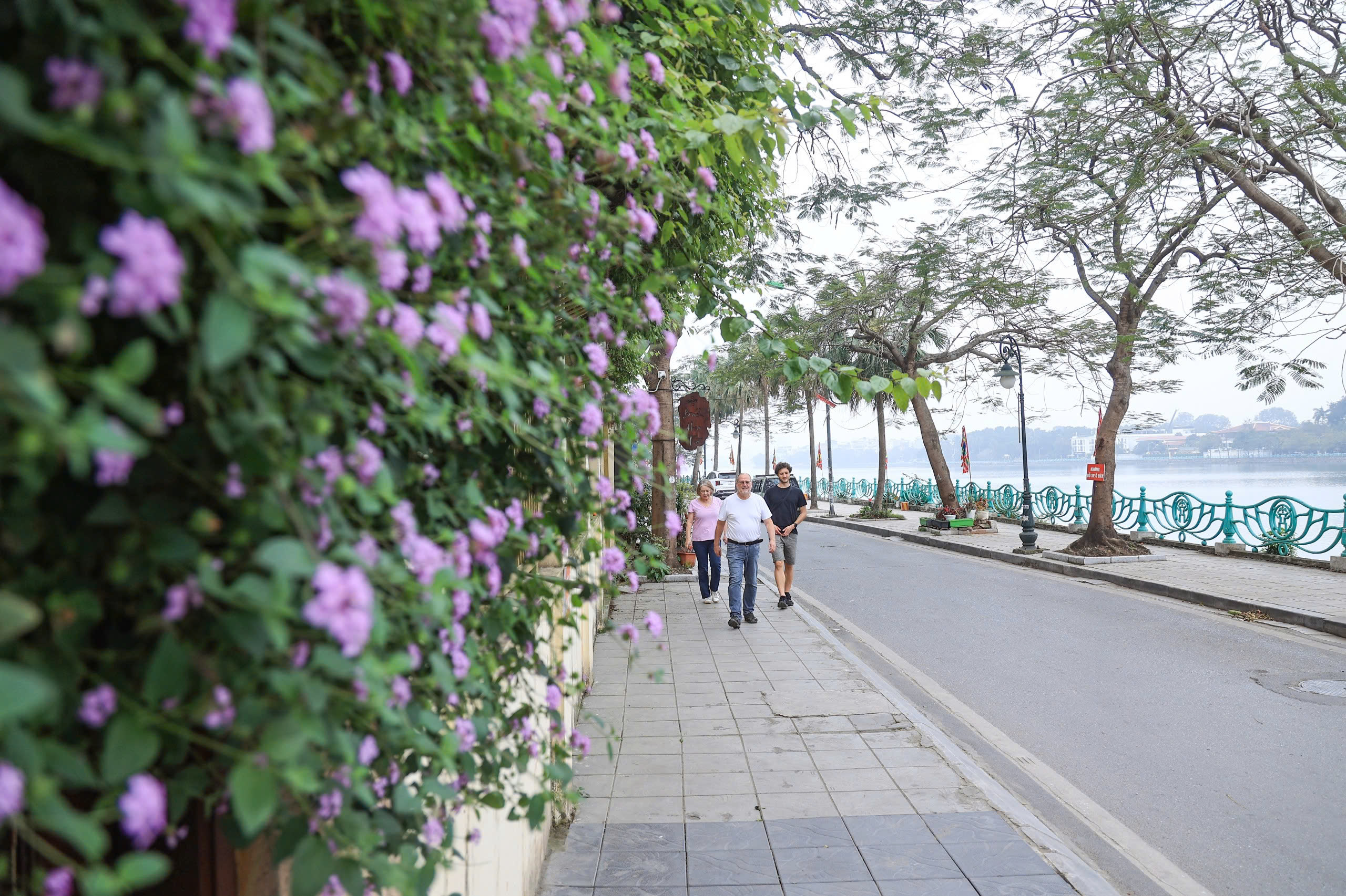 Hiện trạng hai tuyến đường ven Hồ T&acirc;y sắp được mở rộng l&ecirc;n 21m- Ảnh 1.