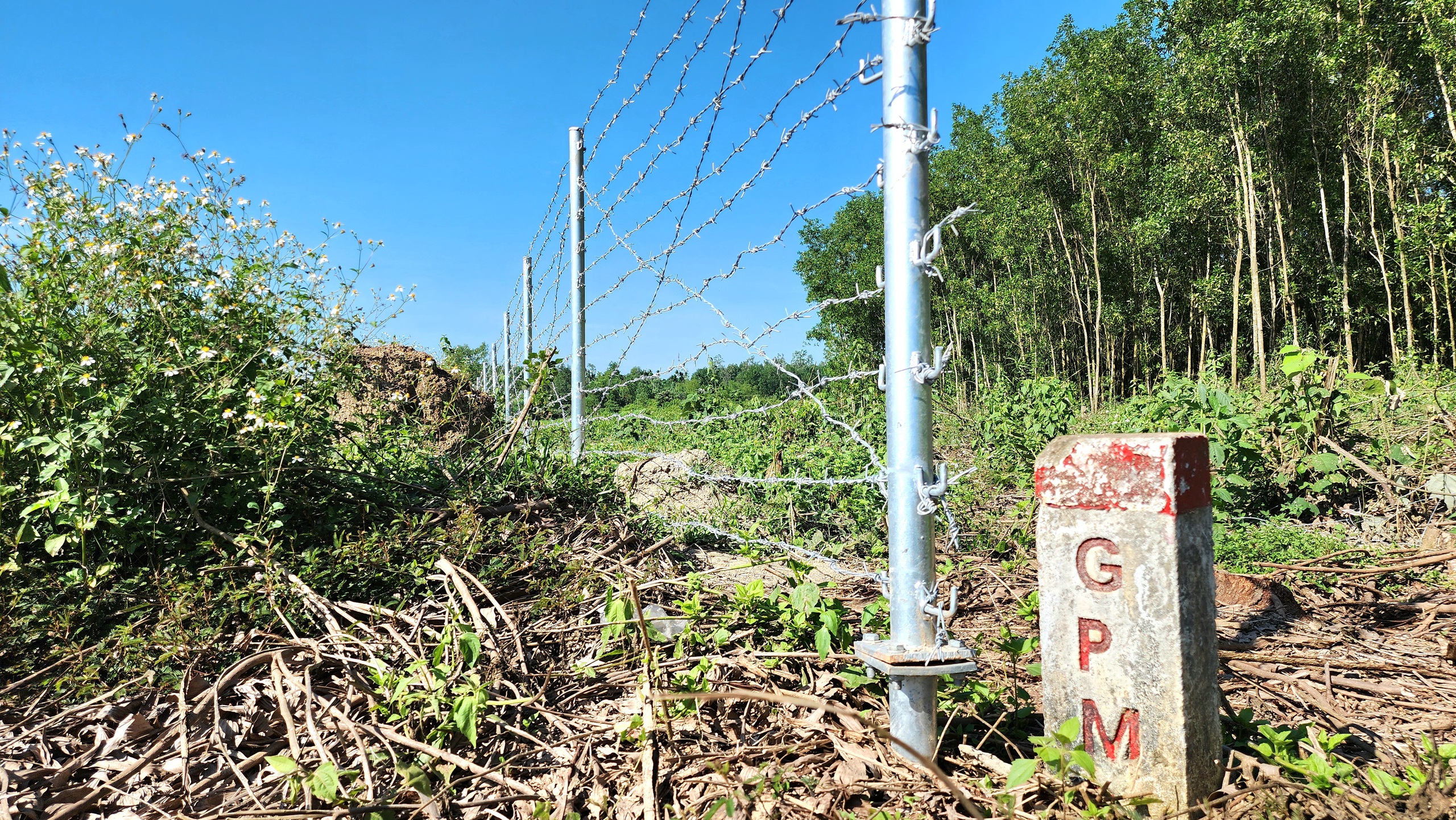Tăng cường thi c&ocirc;ng r&agrave;o chắn dọc cao tốc Quảng Ng&atilde;i - Ho&agrave;i Nhơn- Ảnh 2.