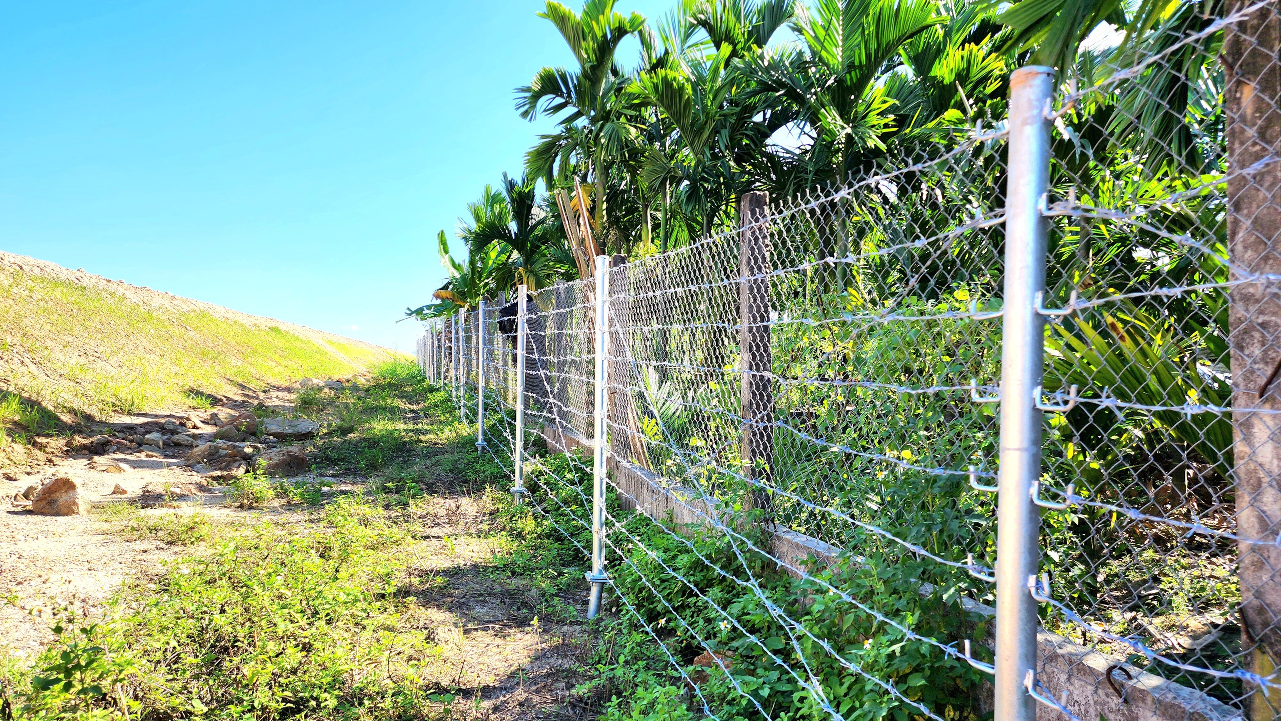 Tăng cường thi c&ocirc;ng r&agrave;o chắn dọc cao tốc Quảng Ng&atilde;i - Ho&agrave;i Nhơn- Ảnh 12.