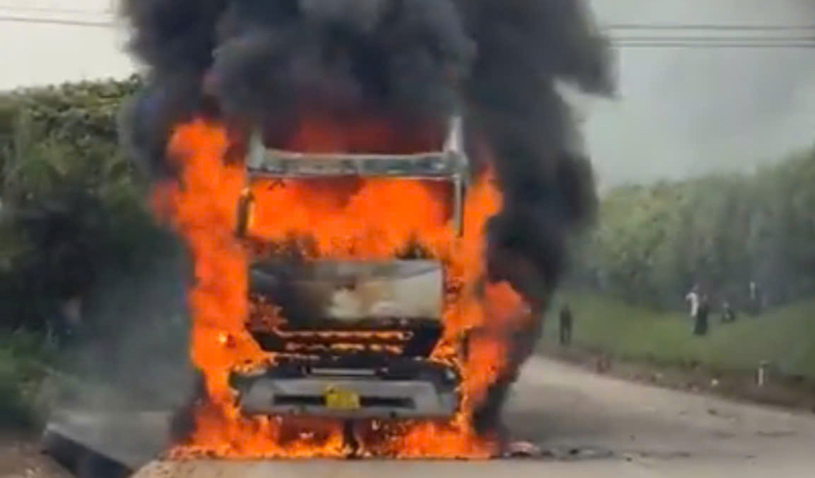 Xe container đang chạy tr&ecirc;n đường Hồ Ch&iacute; Minh bất ngờ bốc ch&aacute;y dữ dội- Ảnh 1.