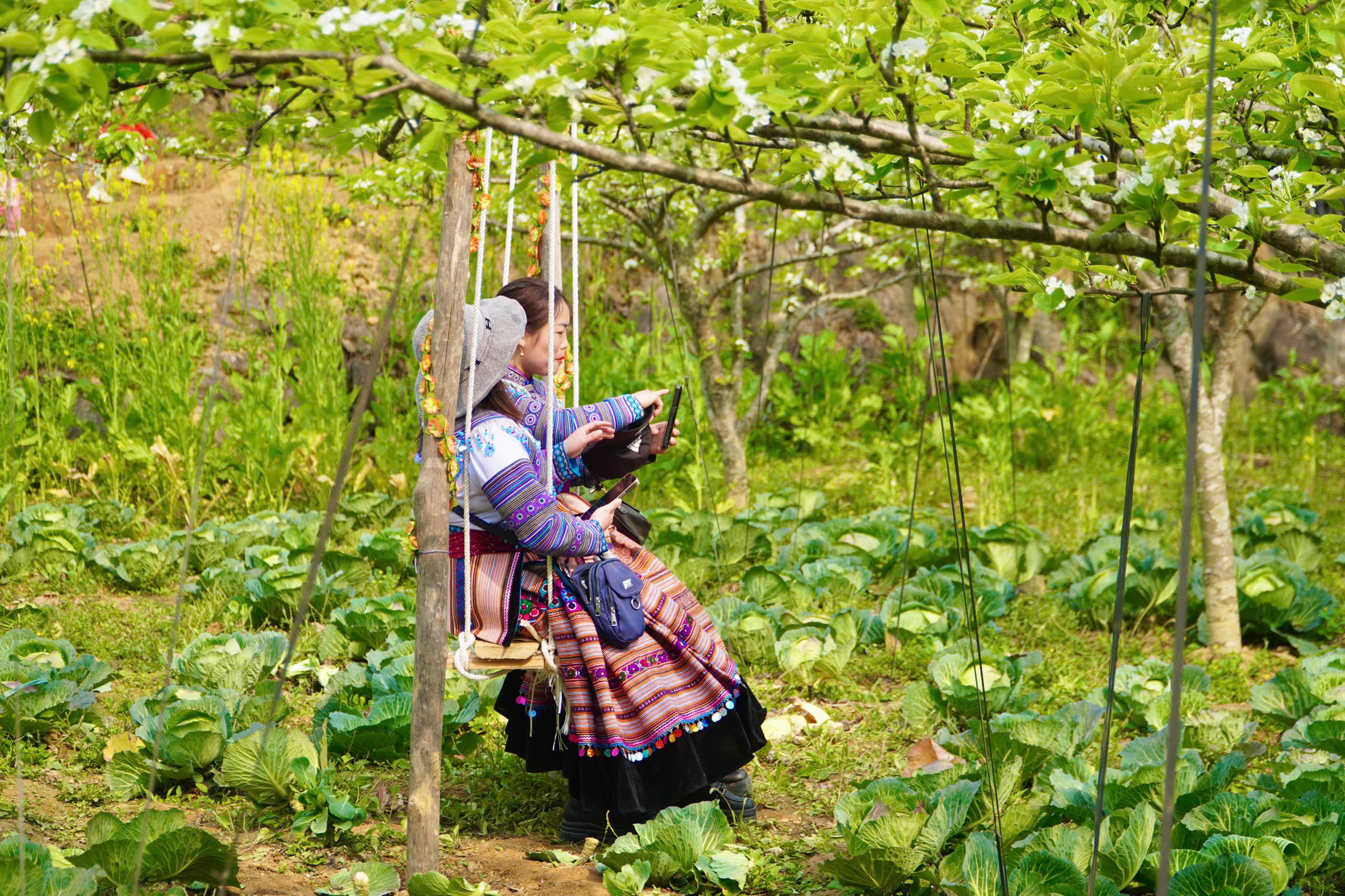 Du kh&aacute;ch m&ecirc; mẩn sắc trắng hoa l&ecirc; ở huyện miền n&uacute;i L&agrave;o Cai- Ảnh 12.