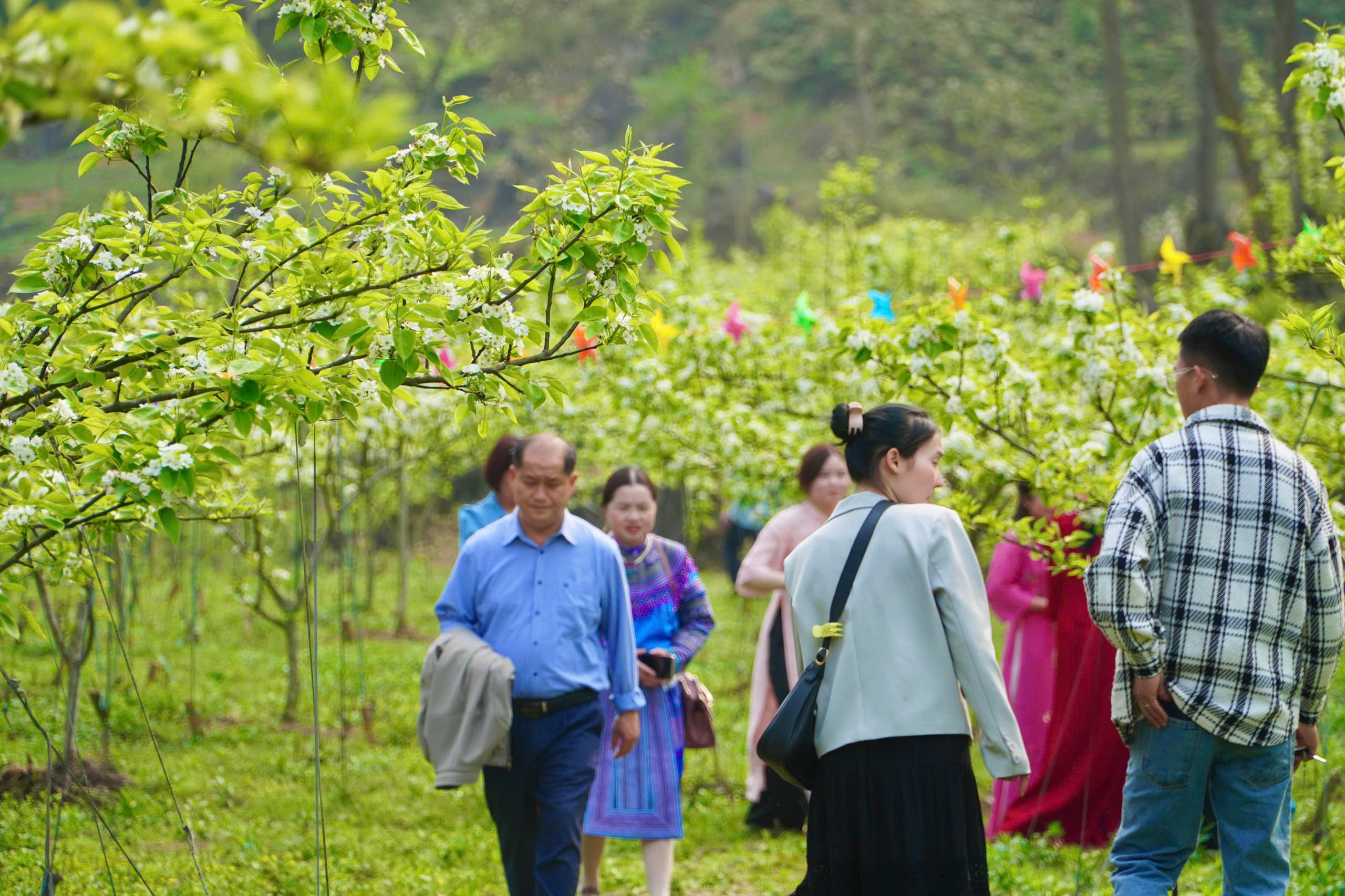 Du kh&aacute;ch m&ecirc; mẩn sắc trắng hoa l&ecirc; ở huyện miền n&uacute;i L&agrave;o Cai- Ảnh 13.