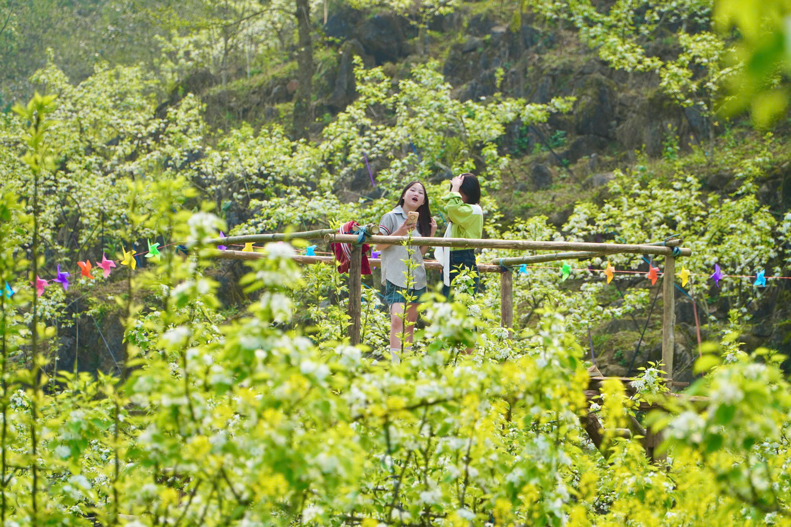 Du kh&aacute;ch m&ecirc; mẩn sắc trắng hoa l&ecirc; ở huyện miền n&uacute;i L&agrave;o Cai- Ảnh 15.