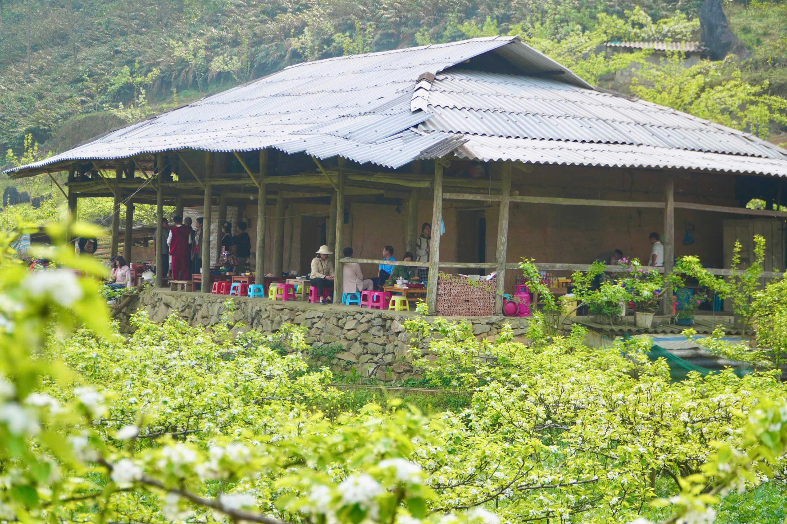 Du kh&aacute;ch m&ecirc; mẩn sắc trắng hoa l&ecirc; ở huyện miền n&uacute;i L&agrave;o Cai- Ảnh 16.