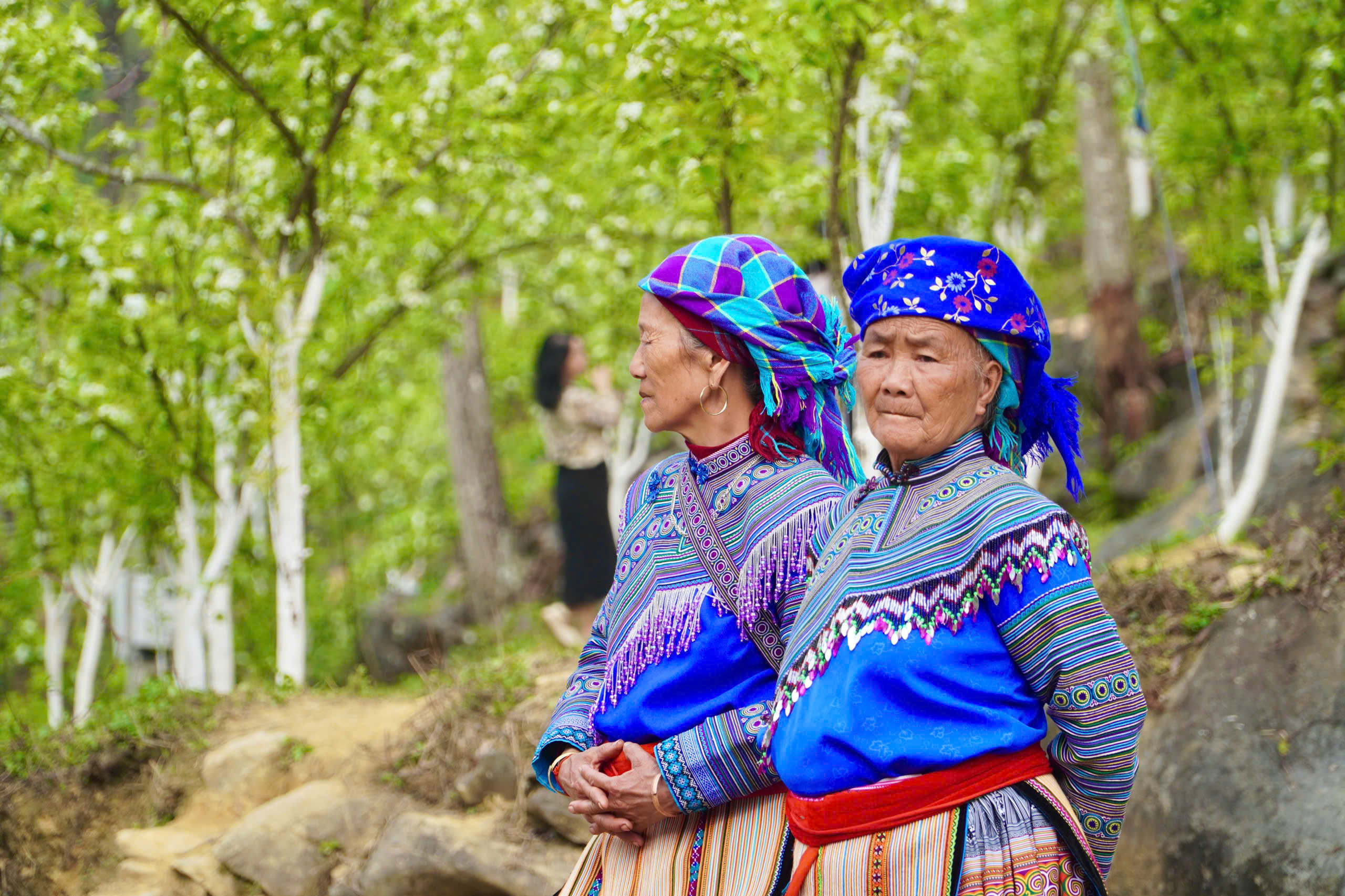 Du kh&aacute;ch m&ecirc; mẩn sắc trắng hoa l&ecirc; ở huyện miền n&uacute;i L&agrave;o Cai- Ảnh 18.