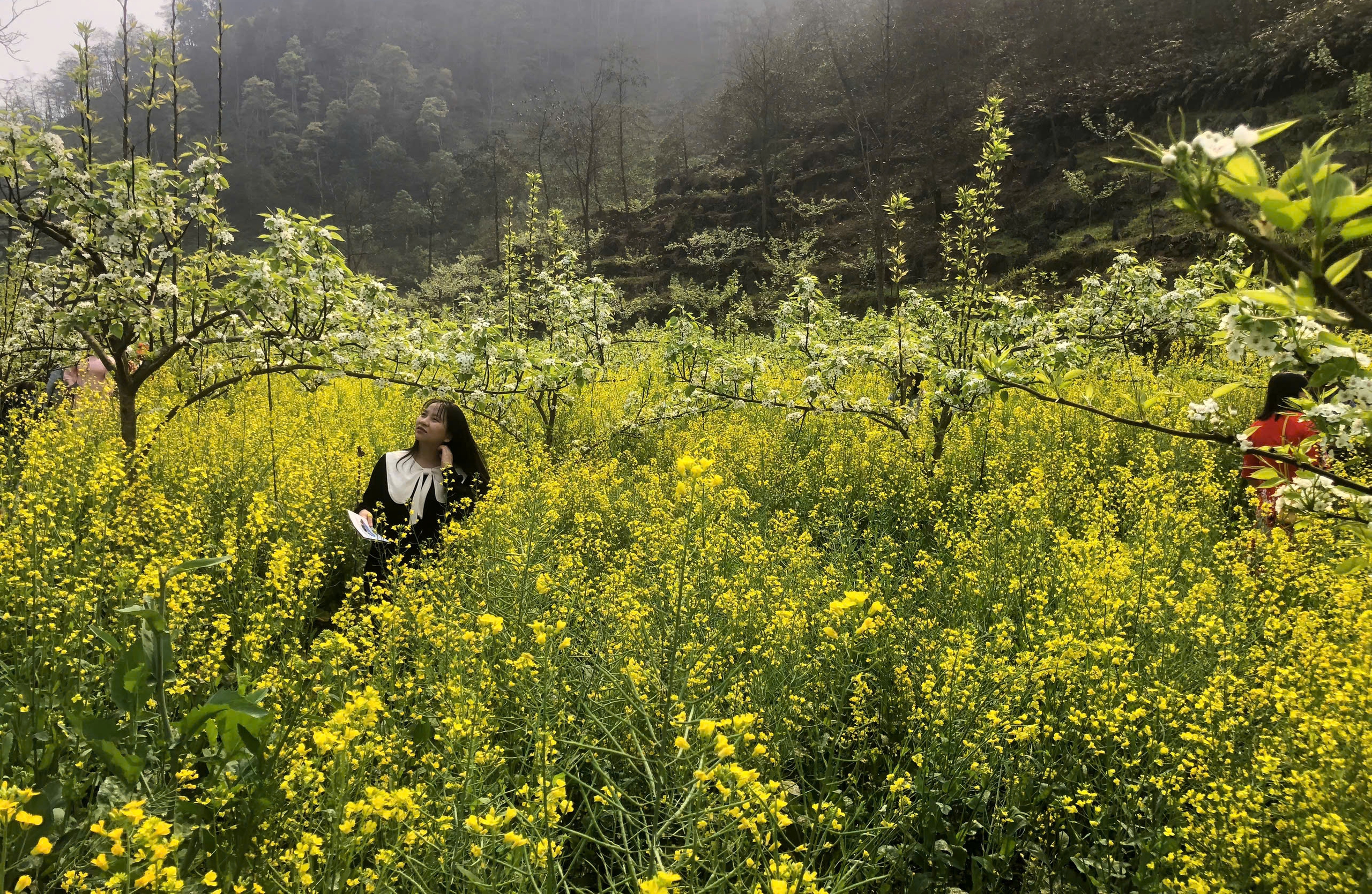 Du kh&aacute;ch m&ecirc; mẩn sắc trắng hoa l&ecirc; ở huyện miền n&uacute;i L&agrave;o Cai- Ảnh 25.