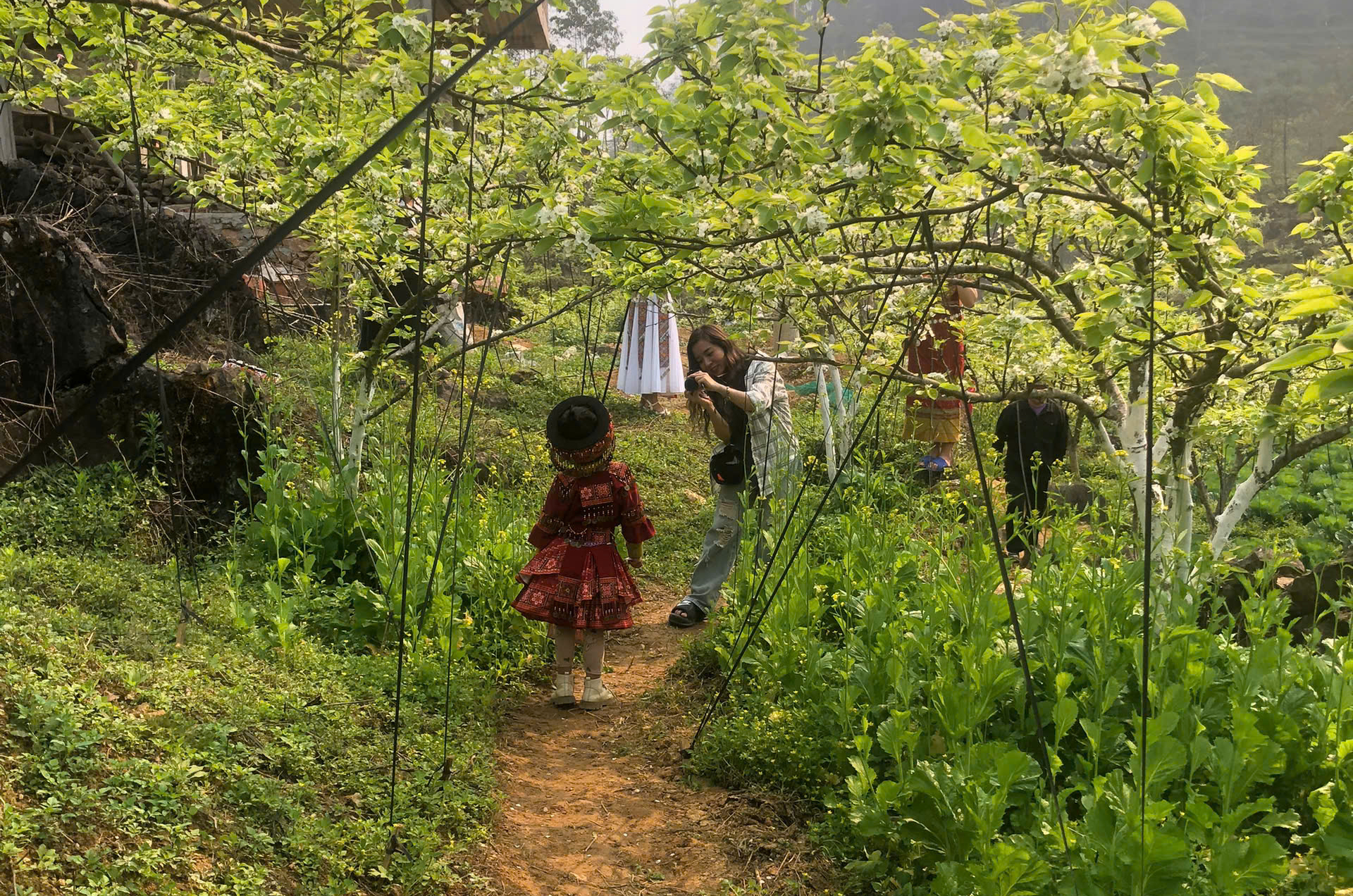 Du kh&aacute;ch m&ecirc; mẩn sắc trắng hoa l&ecirc; ở huyện miền n&uacute;i L&agrave;o Cai- Ảnh 26.