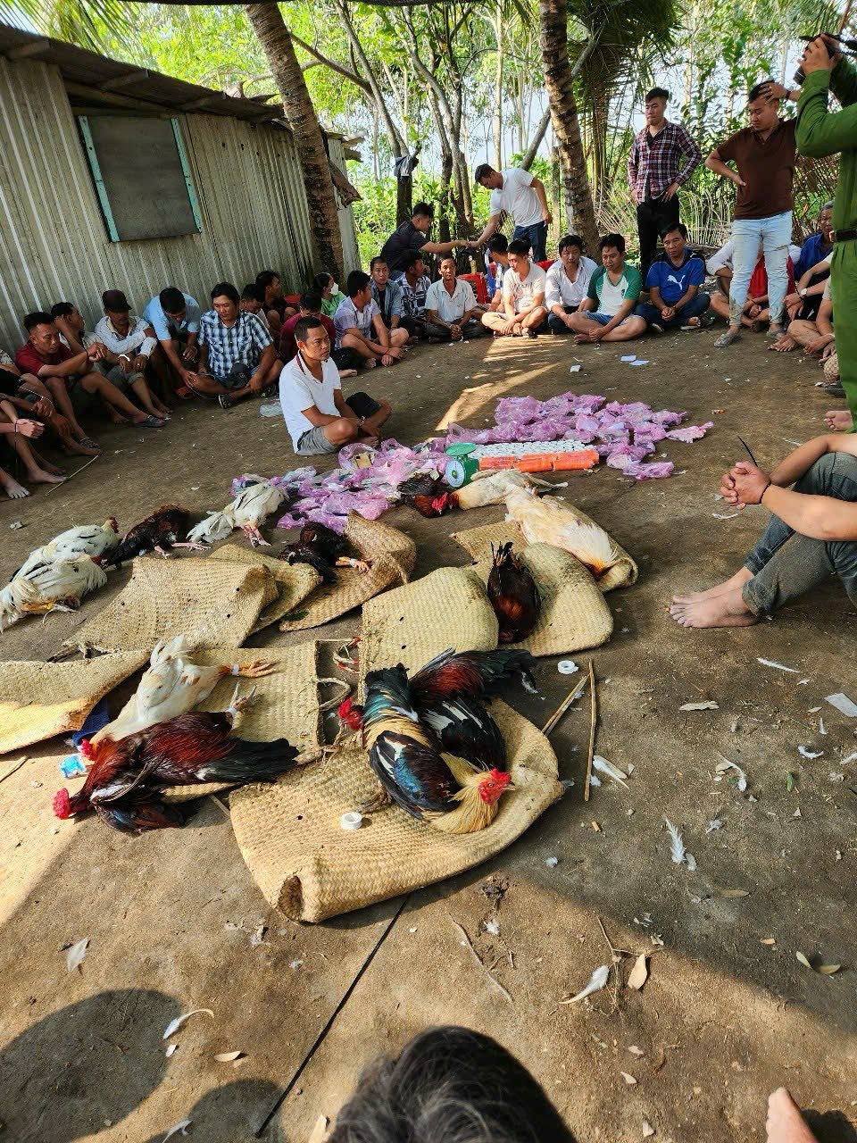 Long An: Bắt quả tang 58 đối tượng đ&aacute;nh bạc, tổ chức đ&aacute;nh bạc- Ảnh 1.