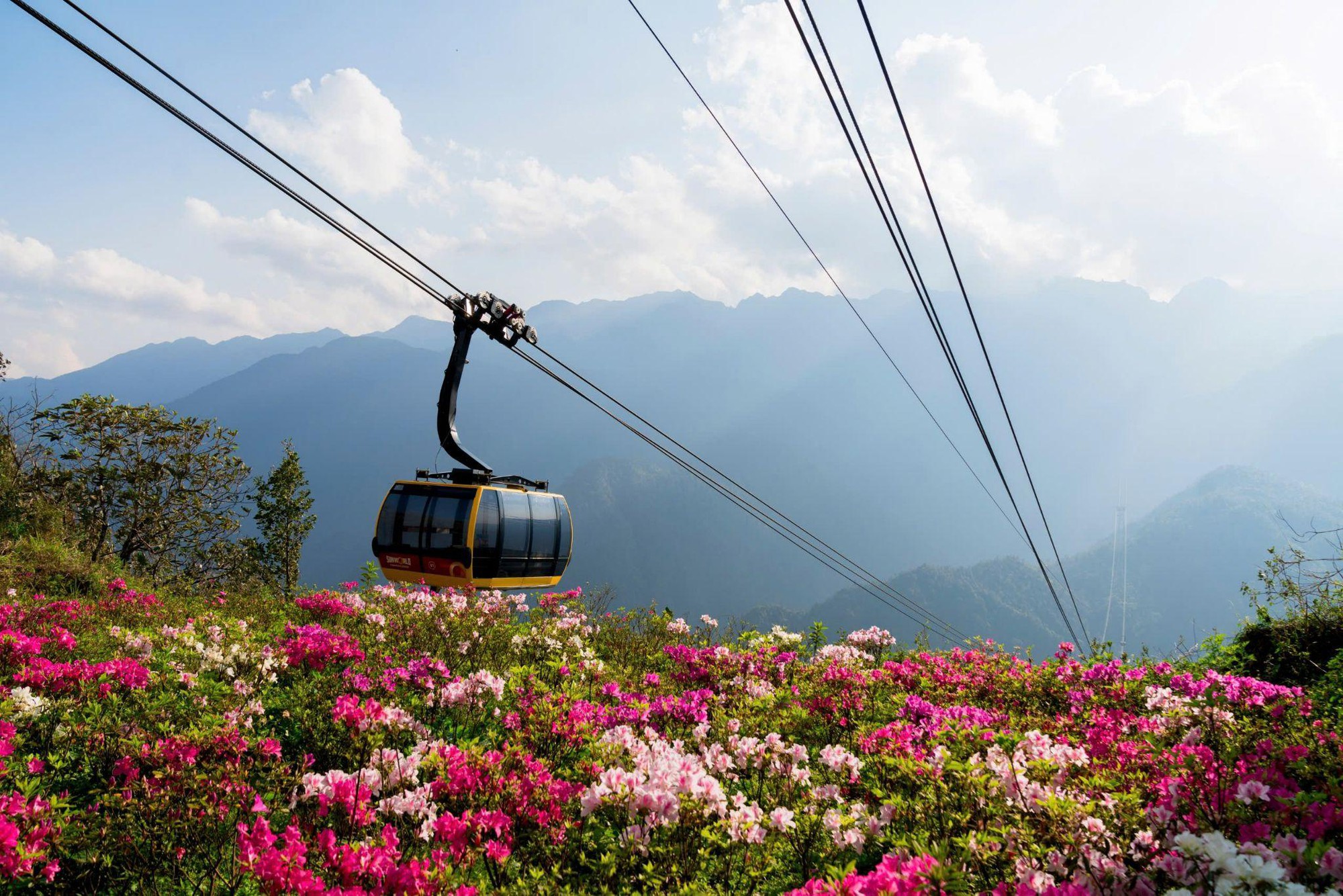 Du lịch Fansipan mùa hoa đỗ quyên và lễ hội hoa hồng- Ảnh 2. Du lịch Fansipan mùa hoa đỗ quyên và lễ hội hoa hồng- Ảnh 2.