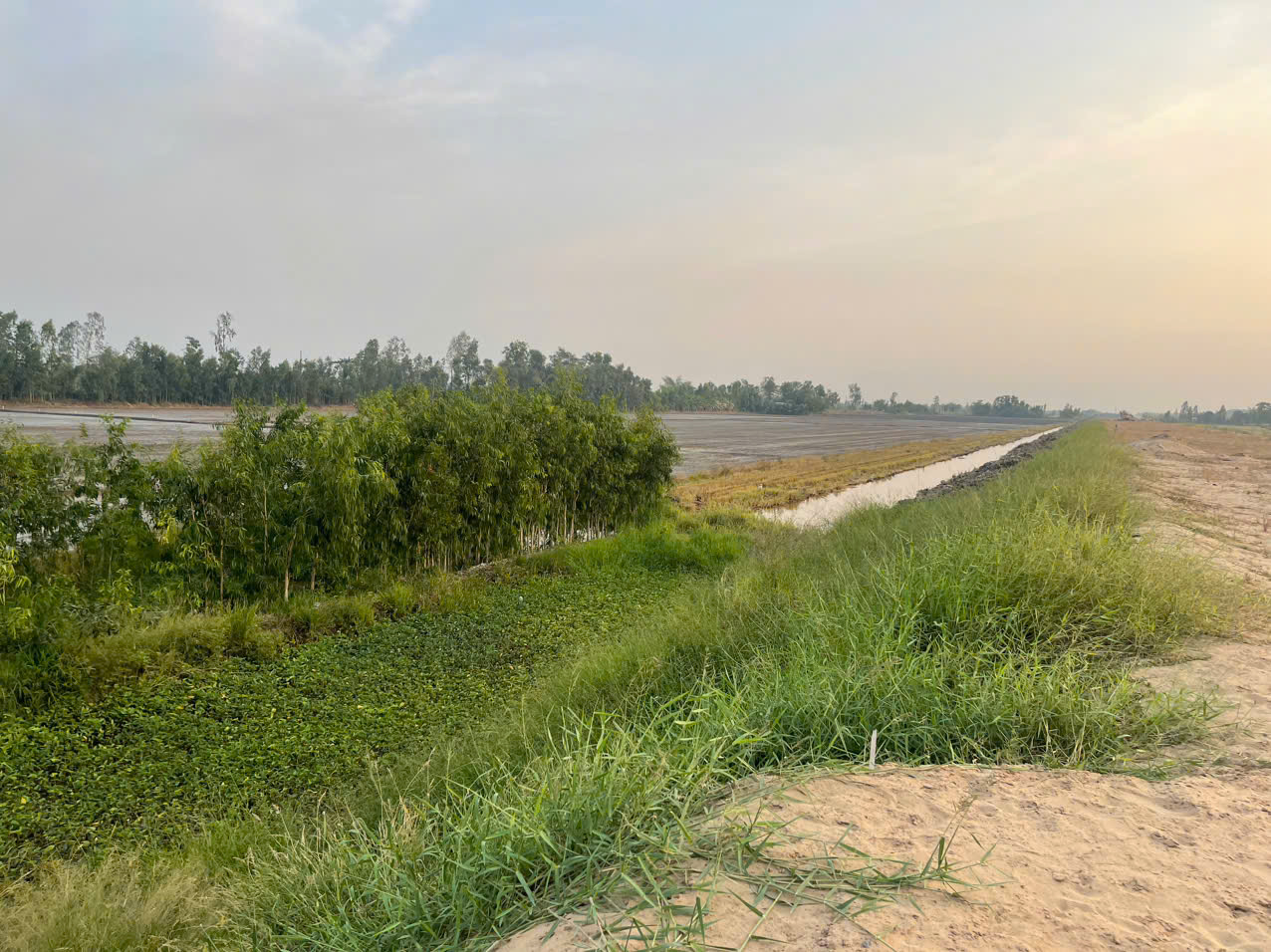 Khi nào hoàn tất giải phóng mặt bằng trạm dừng nghỉ cao tốc ở Hậu Giang?- Ảnh 1. Khi nào hoàn tất giải phóng mặt bằng trạm dừng nghỉ cao tốc ở Hậu Giang?- Ảnh 1.