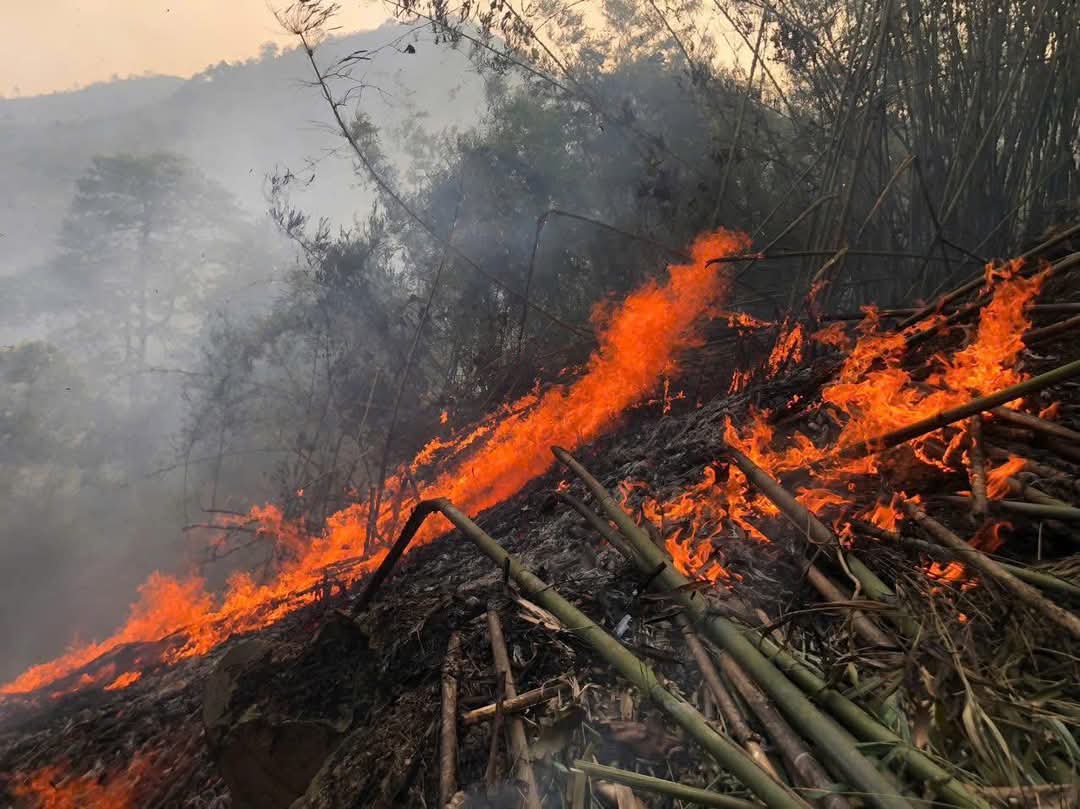 Tuy&ecirc;n Quang: Ch&aacute;y rừng tại n&uacute;i Nghi&ecirc;m, hơn 500 người dập lửa- Ảnh 1.