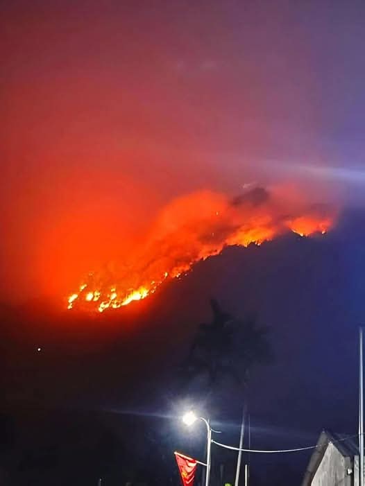 H&agrave;ng trăm người trắng đ&ecirc;m kiểm so&aacute;t đ&aacute;m ch&aacute;y rừng ở Tuy&ecirc;n Quang- Ảnh 1.