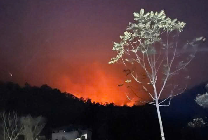 Thêm một vụ cháy rừng tại Tuyên Quang- Ảnh 1. Thêm một vụ cháy rừng tại Tuyên Quang- Ảnh 1.