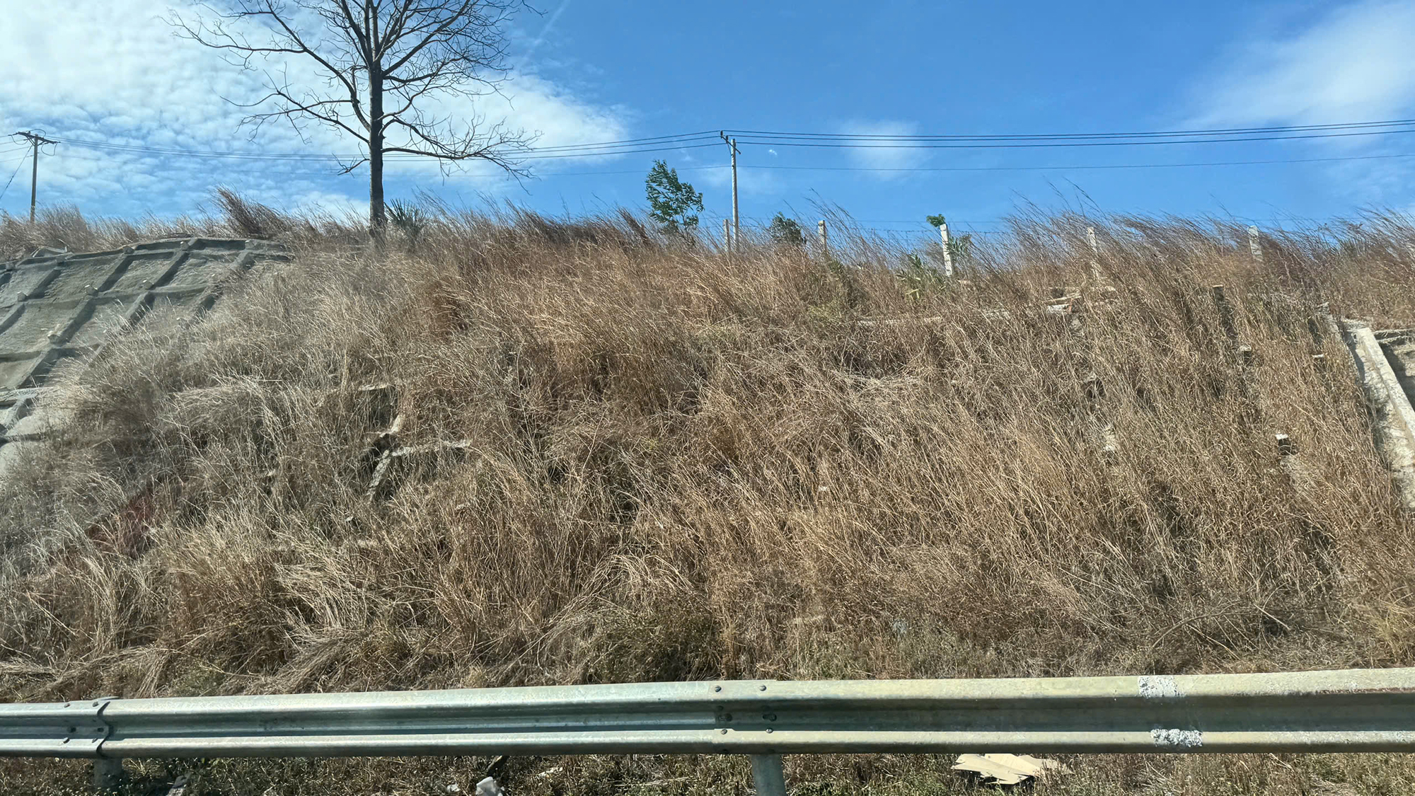 Nguy hiểm từ việc đốt cỏ ven cao tốc- Ảnh 2. Nguy hiểm từ việc đốt cỏ ven cao tốc- Ảnh 2.