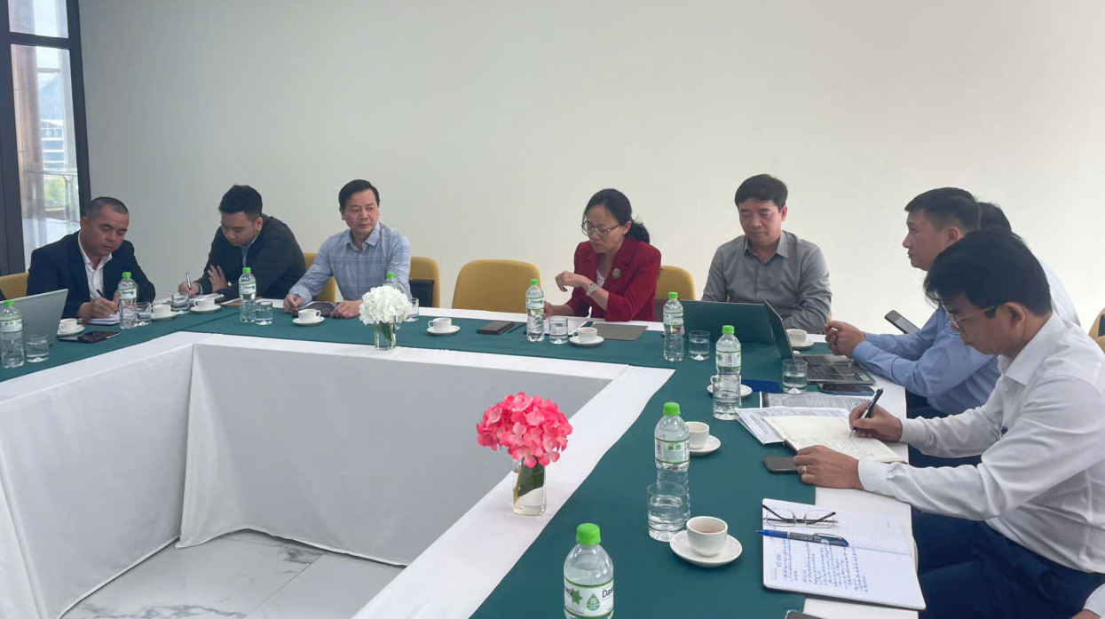 Quảng Ninh: Chủ t&agrave;u cam kết kh&ocirc;ng tăng gi&aacute; v&eacute; từ cảng Ao Ti&ecirc;n đi V&acirc;n Đồn, C&ocirc; T&ocirc;- Ảnh 1.