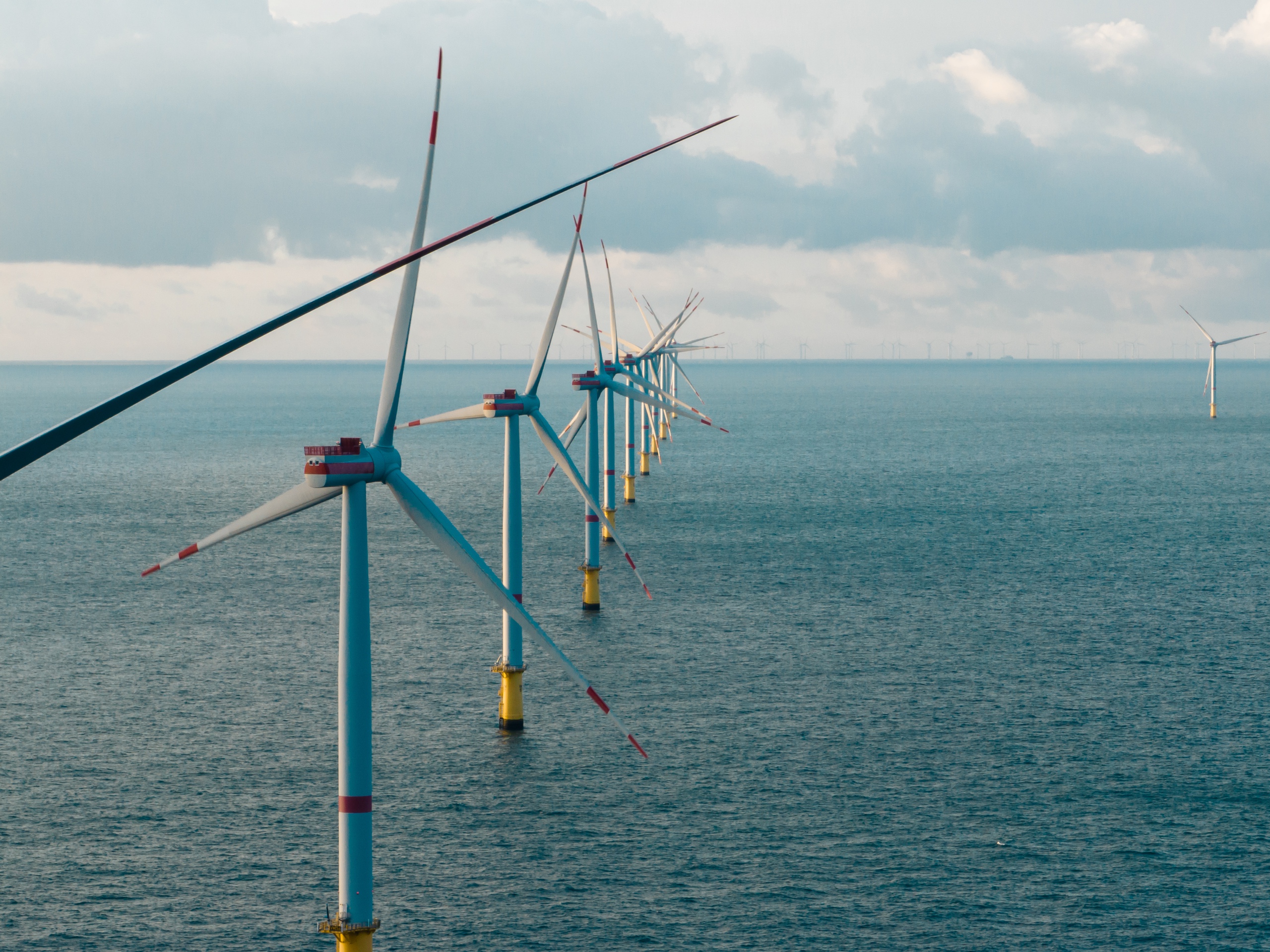 Vingroup muốn r&oacute;t 30 tỷ USD l&agrave;m điện sạch- Ảnh 1.