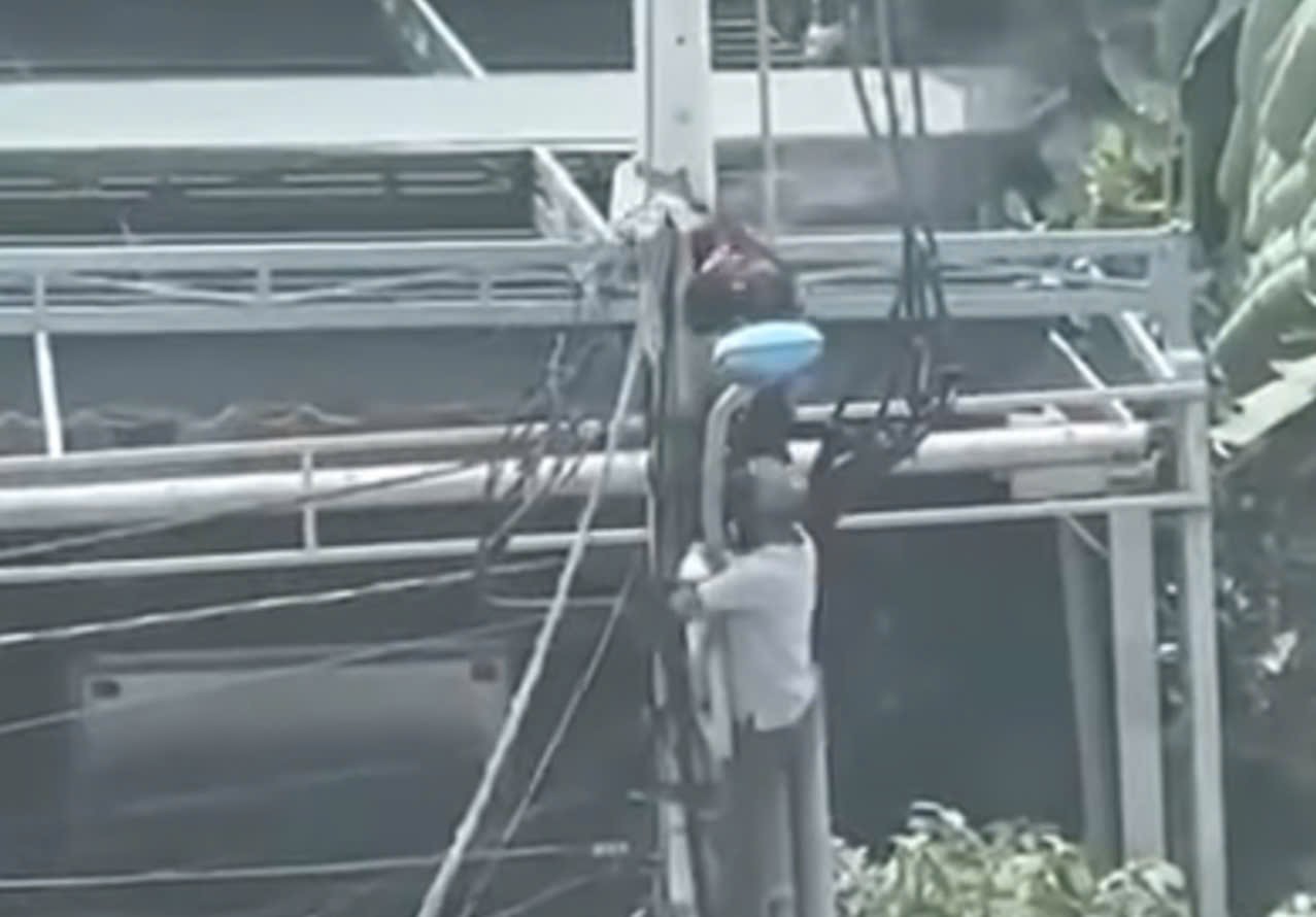 Trụ điện ph&aacute;t nổ, người đ&agrave;n &ocirc;ng bị bỏng nặng- Ảnh 1.