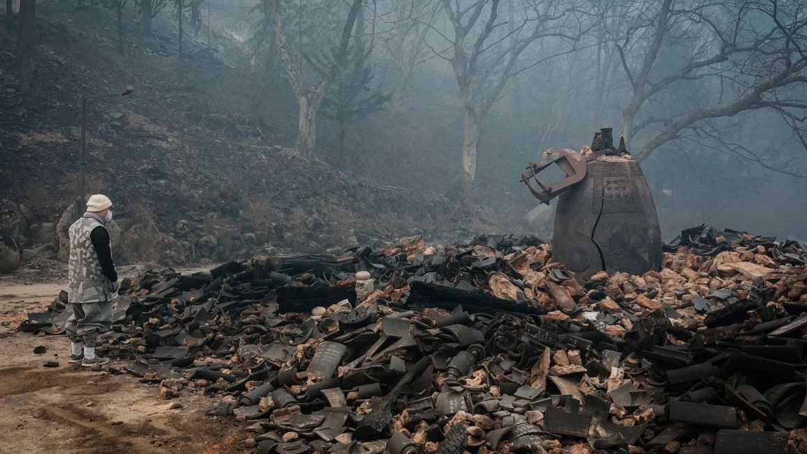 Cháy rừng kinh hoàng tại Hàn Quốc: Ít nhất 18 người thiệt mạng, 27.000 người phải sơ tán- Ảnh 4. Cháy rừng kinh hoàng tại Hàn Quốc: Ít nhất 18 người thiệt mạng, 27.000 người phải sơ tán- Ảnh 4.