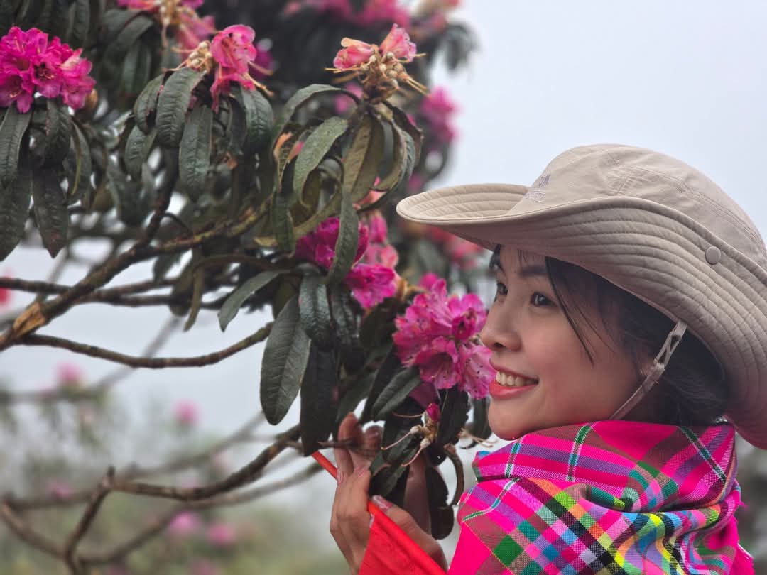 Tháng ba rực rỡ ở Lai Châu, hoa đỗ quyên bung nở nhuộm tím dãy Hoàng Liên Sơn- Ảnh 3. Tháng ba rực rỡ ở Lai Châu, hoa đỗ quyên bung nở nhuộm tím dãy Hoàng Liên Sơn- Ảnh 3.