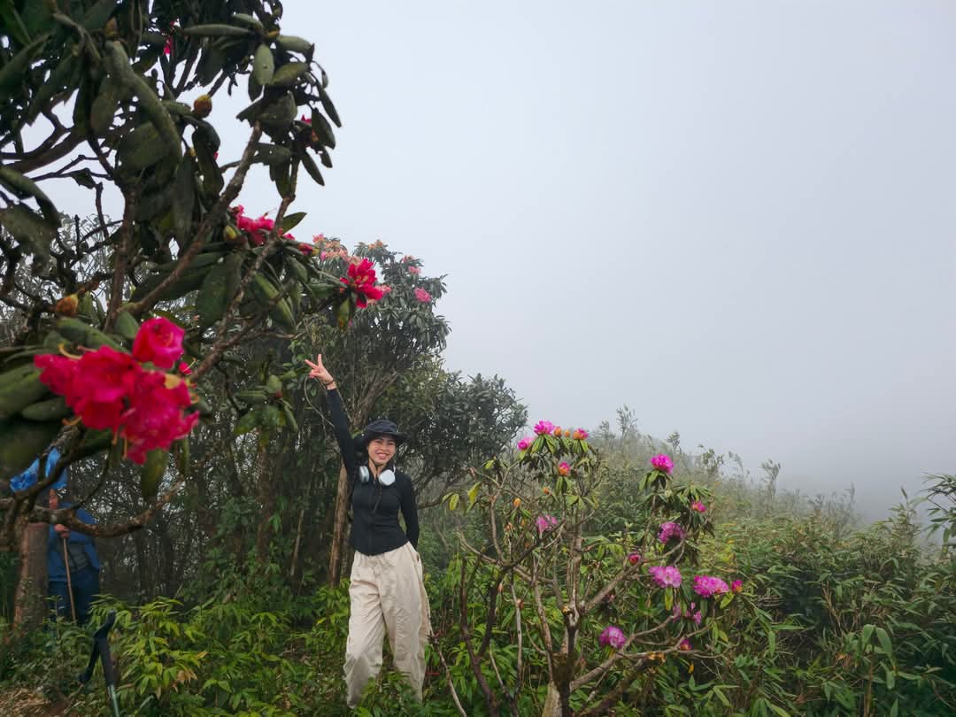 Tháng ba rực rỡ ở Lai Châu, hoa đỗ quyên bung nở nhuộm tím dãy Hoàng Liên Sơn- Ảnh 4. Tháng ba rực rỡ ở Lai Châu, hoa đỗ quyên bung nở nhuộm tím dãy Hoàng Liên Sơn- Ảnh 4.