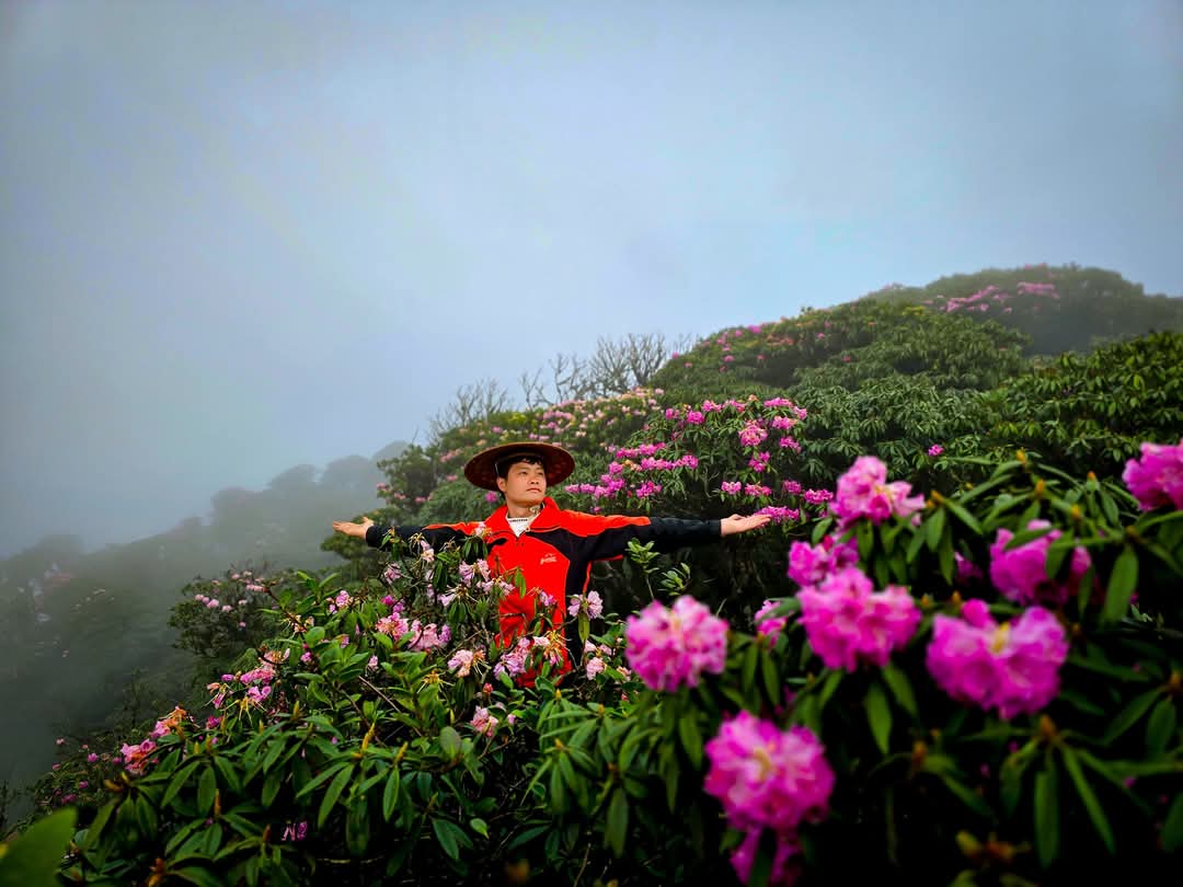 Tháng ba rực rỡ ở Lai Châu, hoa đỗ quyên bung nở nhuộm tím dãy Hoàng Liên Sơn- Ảnh 5. Tháng ba rực rỡ ở Lai Châu, hoa đỗ quyên bung nở nhuộm tím dãy Hoàng Liên Sơn- Ảnh 5.