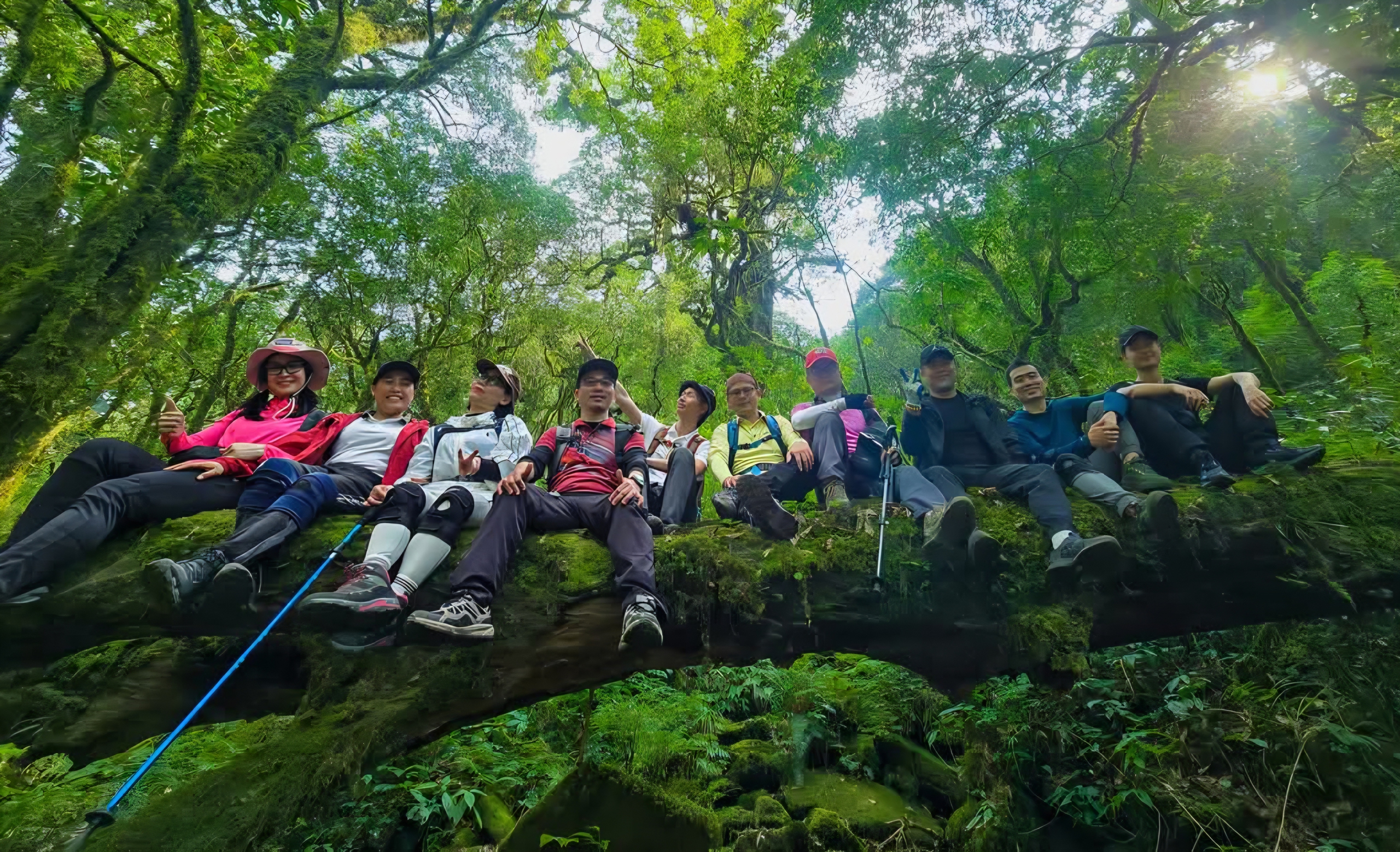 Tháng ba rực rỡ ở Lai Châu, hoa đỗ quyên bung nở nhuộm tím dãy Hoàng Liên Sơn- Ảnh 6. Tháng ba rực rỡ ở Lai Châu, hoa đỗ quyên bung nở nhuộm tím dãy Hoàng Liên Sơn- Ảnh 6.