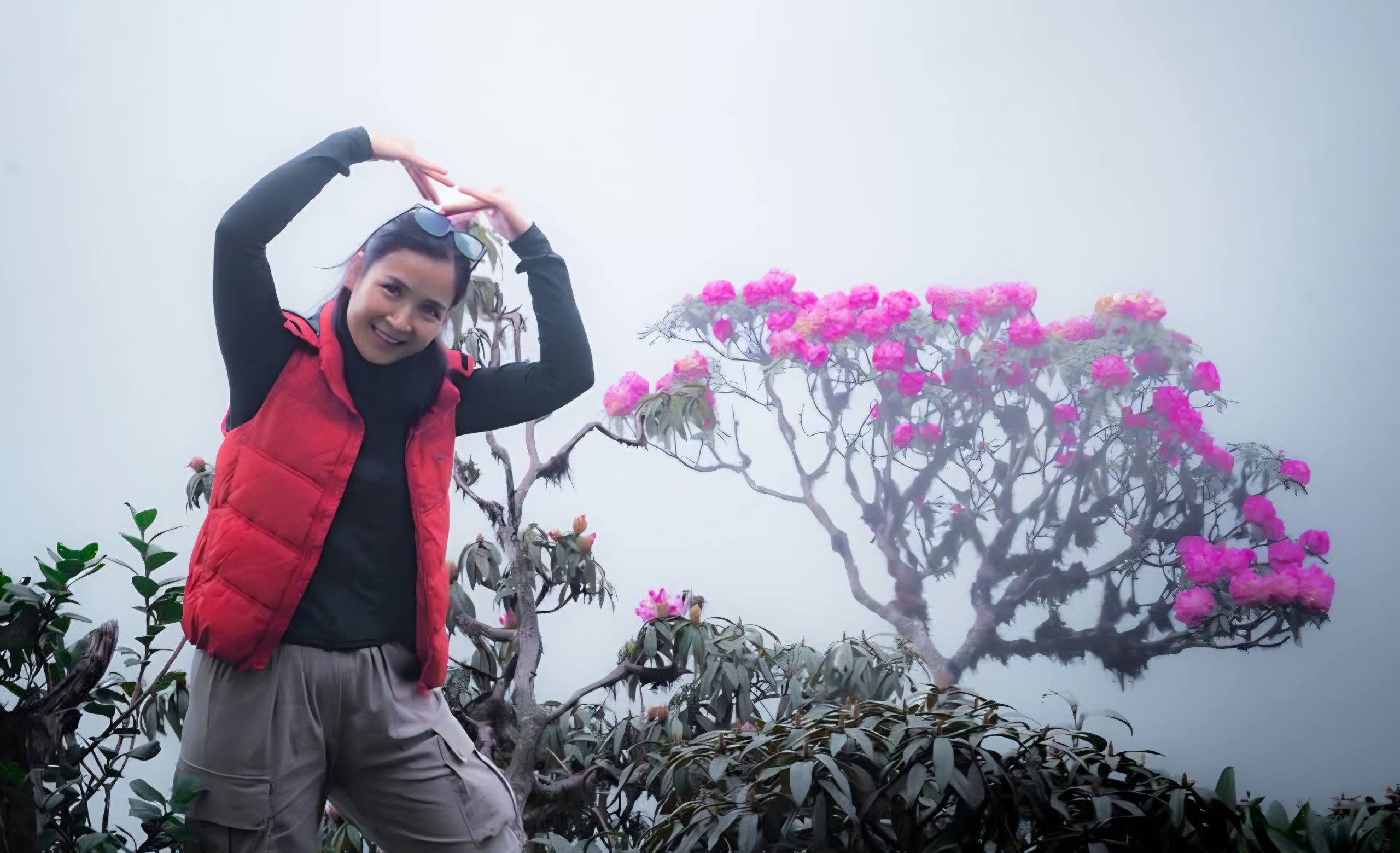 Tháng ba rực rỡ ở Lai Châu, hoa đỗ quyên bung nở nhuộm tím dãy Hoàng Liên Sơn- Ảnh 7. Tháng ba rực rỡ ở Lai Châu, hoa đỗ quyên bung nở nhuộm tím dãy Hoàng Liên Sơn- Ảnh 7.