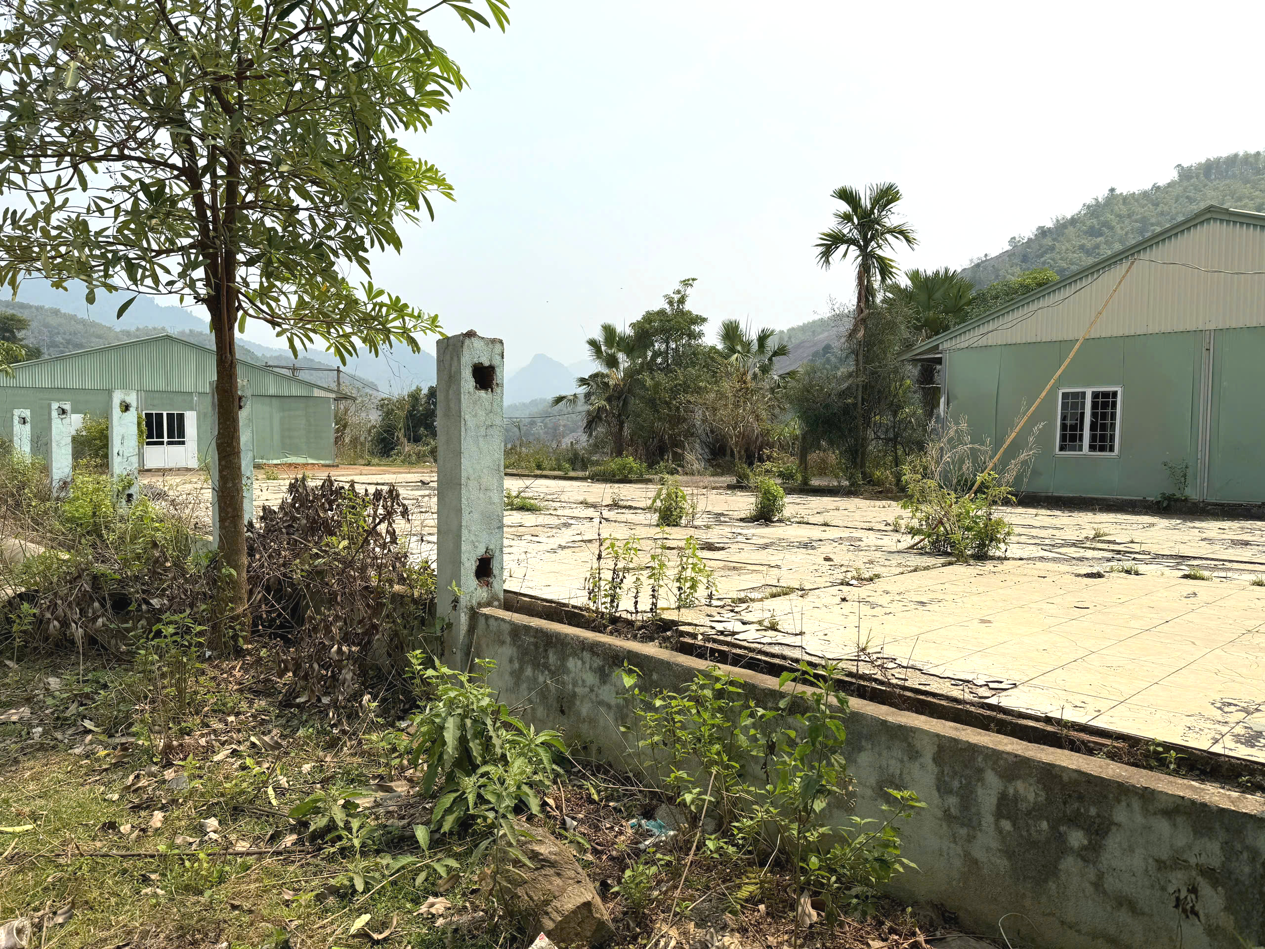 Cận cảnh dự &aacute;n thủy điện hơn 3.300 tỷ ở Thanh H&oacute;a v&agrave;o diện theo d&otilde;i- Ảnh 8.